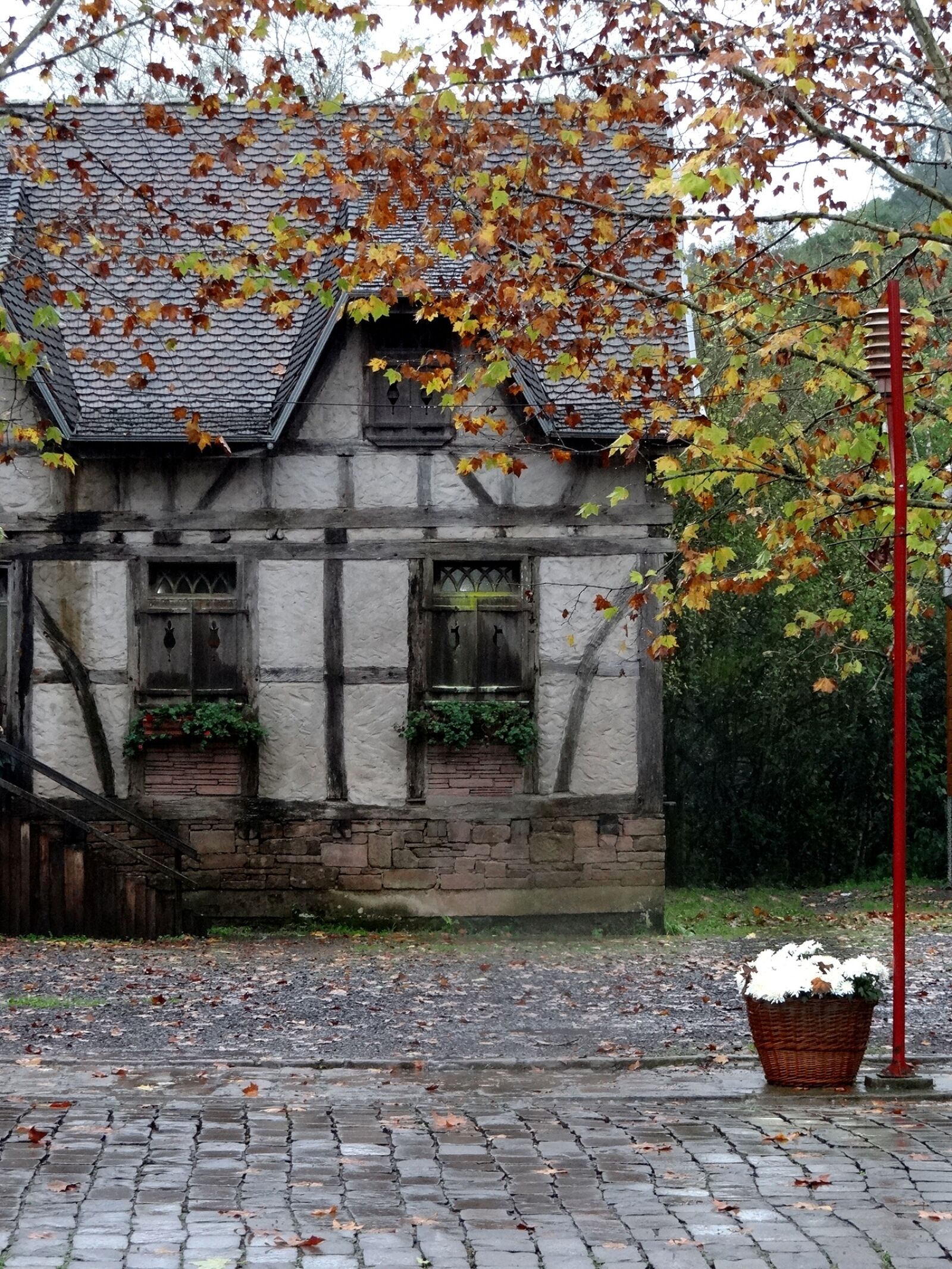 Sony DSC-HX200V sample photo. Old house, timber framed photography