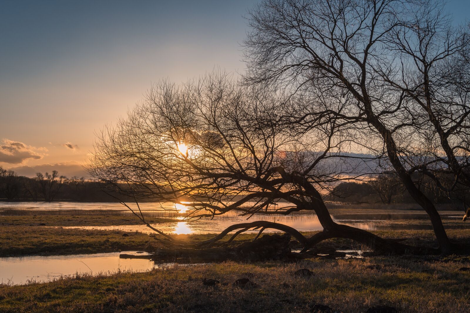 Nikon D7200 sample photo. Elbe, high water, evening photography