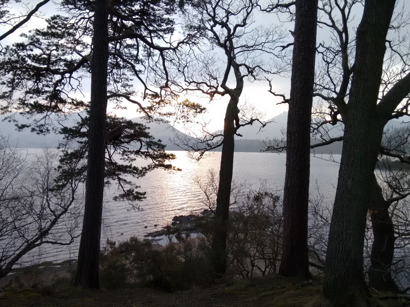 Motorola Moto G (2nd Gen) sample photo. Trees, lake, derwent water photography