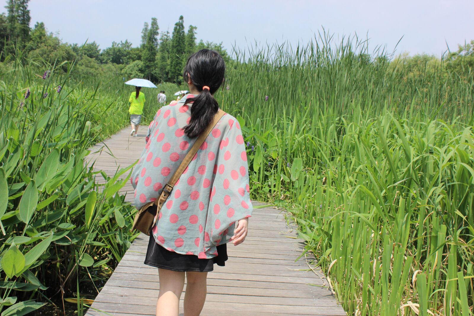 Canon EOS 600D (Rebel EOS T3i / EOS Kiss X5) sample photo. Beauty back, road, woodbridge photography