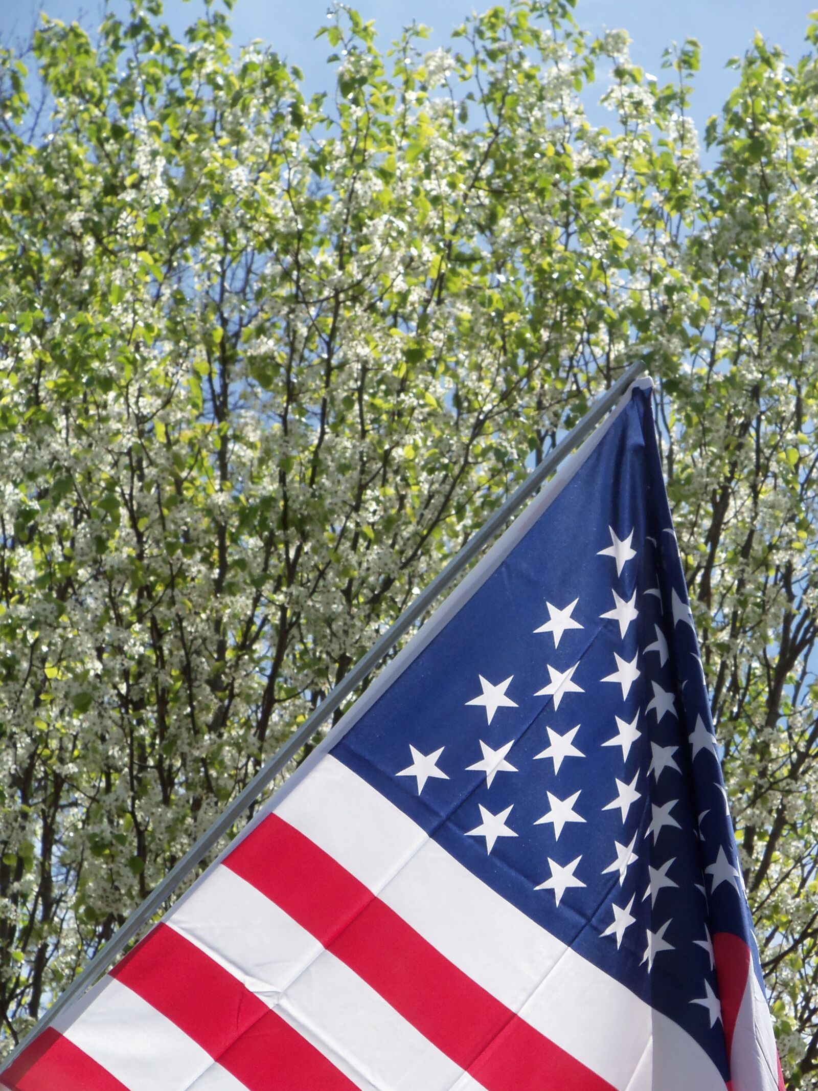 Kodak EASYSHARE M580 DIGITAL CAMERA sample photo. American, flag, american flag photography