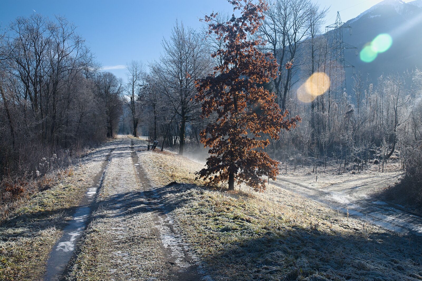 Nikon D80 sample photo. Rime, austria, alps photography