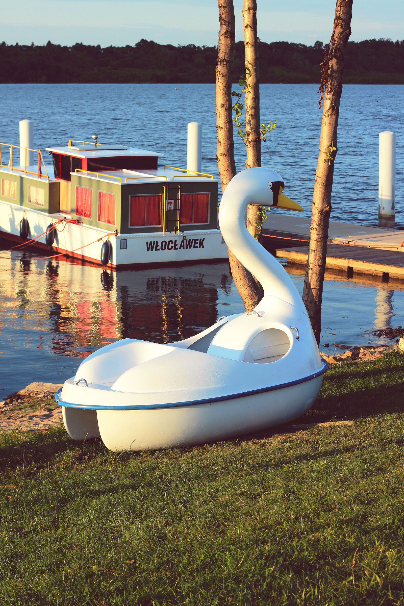 Canon EOS 600D (Rebel EOS T3i / EOS Kiss X5) + Canon EF 50mm F1.8 II sample photo. Swan, boat photography