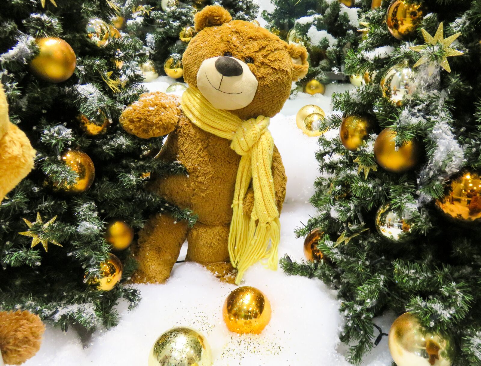 Canon PowerShot SX710 HS sample photo. Emotions, christmas, decoration photography
