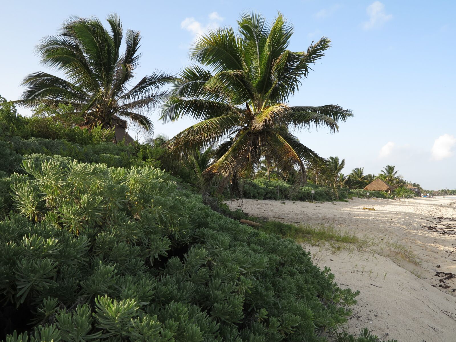 Canon PowerShot G1 X sample photo. Yucatan, palms, beaches photography