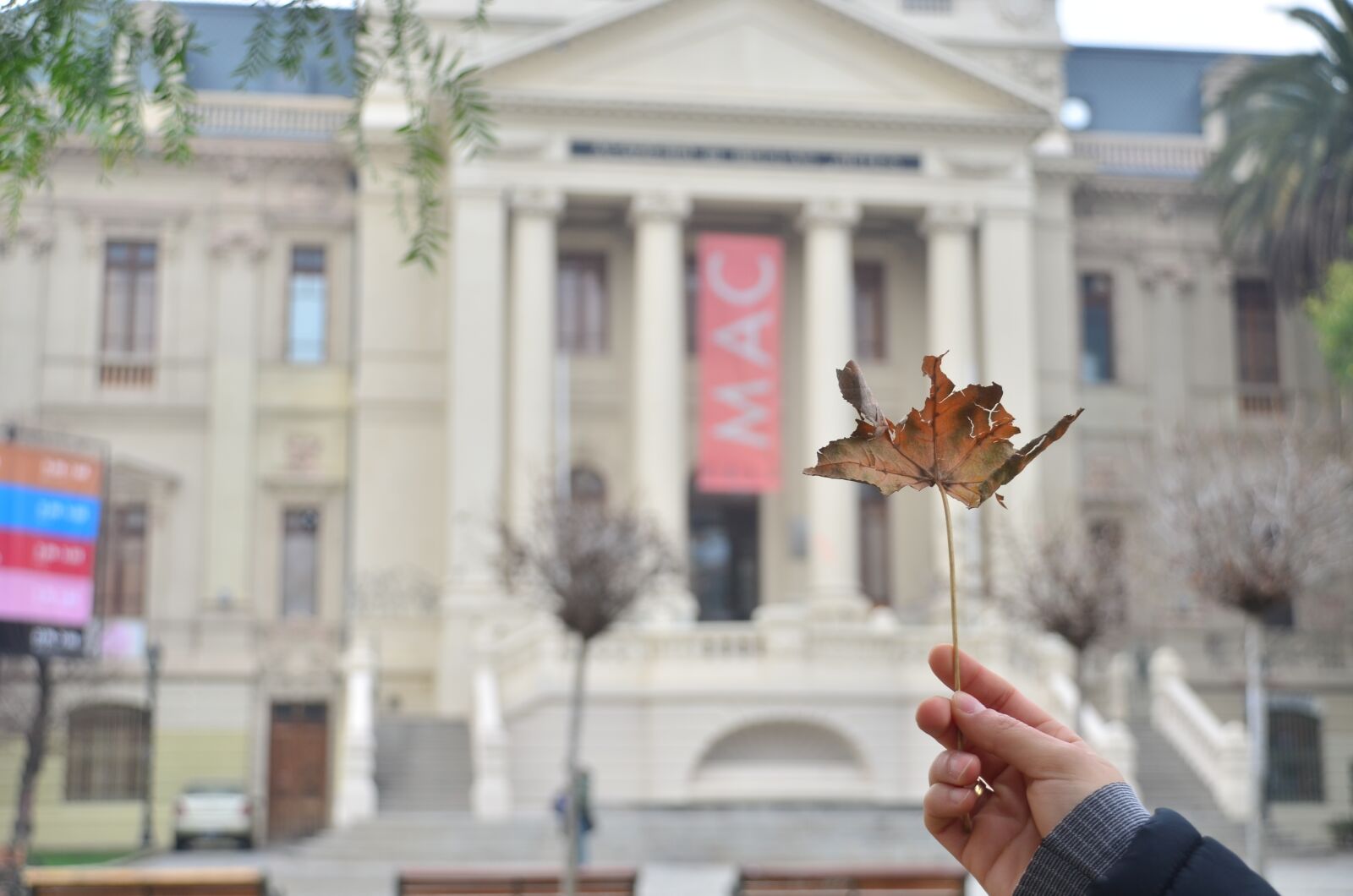Nikon D5100 sample photo. Building, government, leaf photography