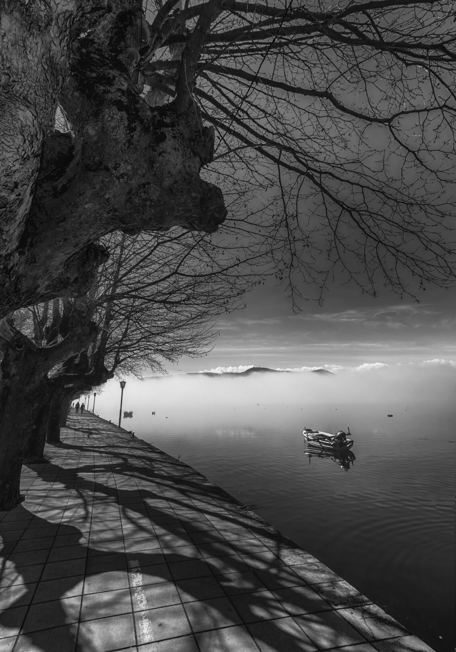 Nikon D5300 sample photo. Shadows, lake, trees photography