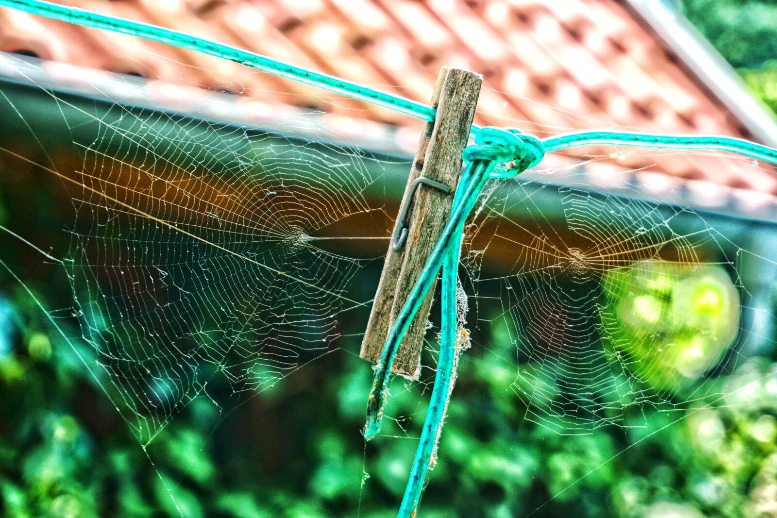 Sony a6000 sample photo. Spider webs, clothes peg photography