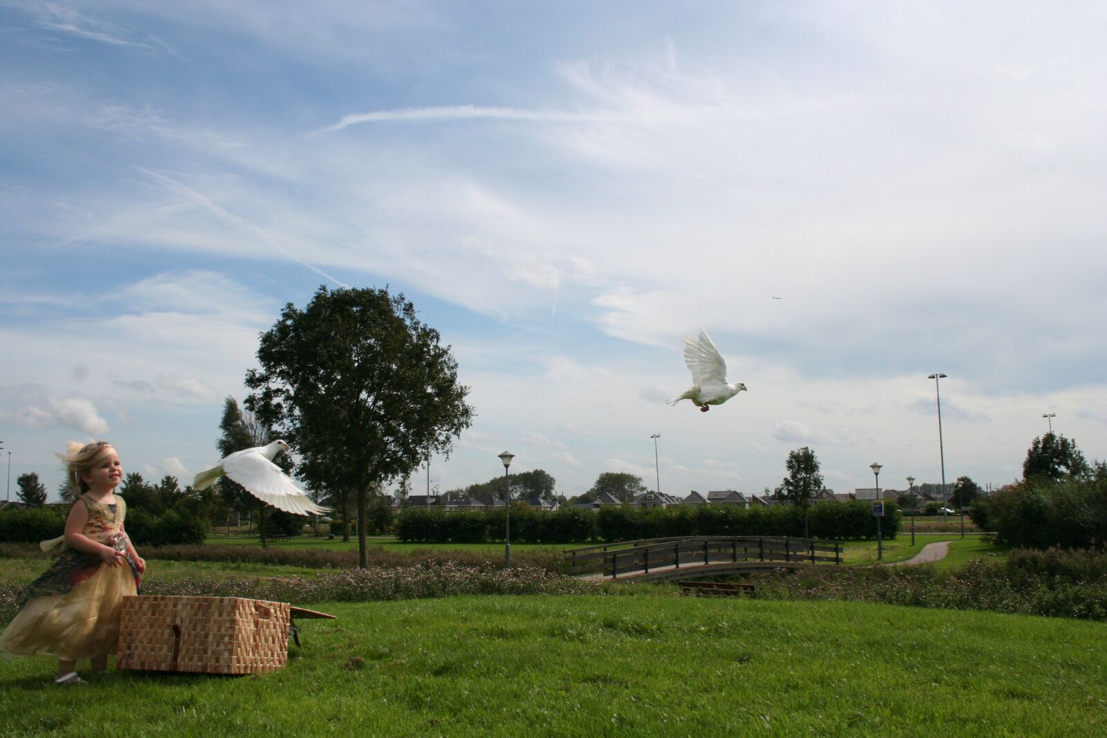 Canon EOS 350D (EOS Digital Rebel XT / EOS Kiss Digital N) sample photo. Freedom, girl, dove photography