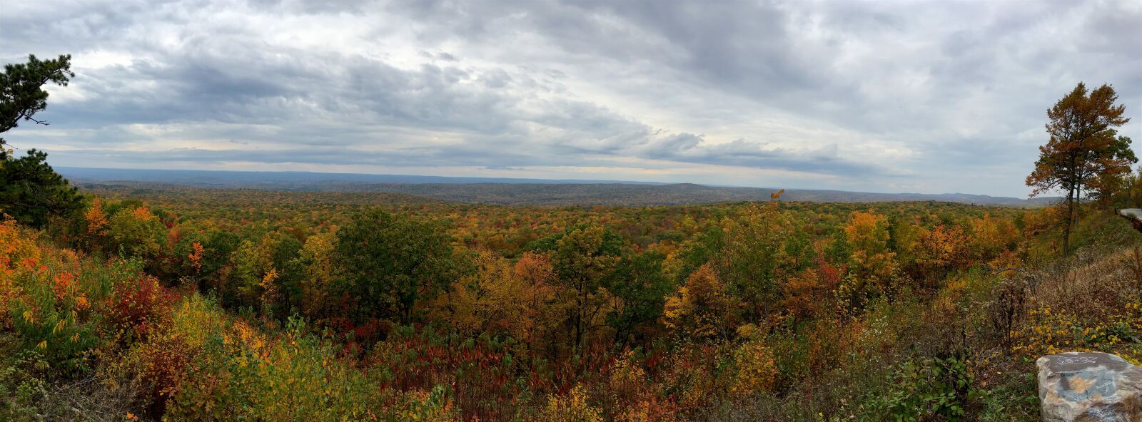 Apple iPhone 6s sample photo. Fall, foliage, trees photography