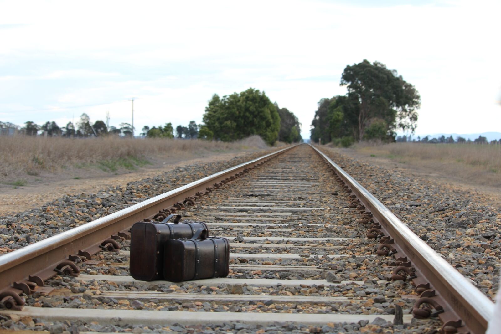 Canon EF-S 55-250mm F4-5.6 IS STM sample photo. Suitcase, cases, train photography