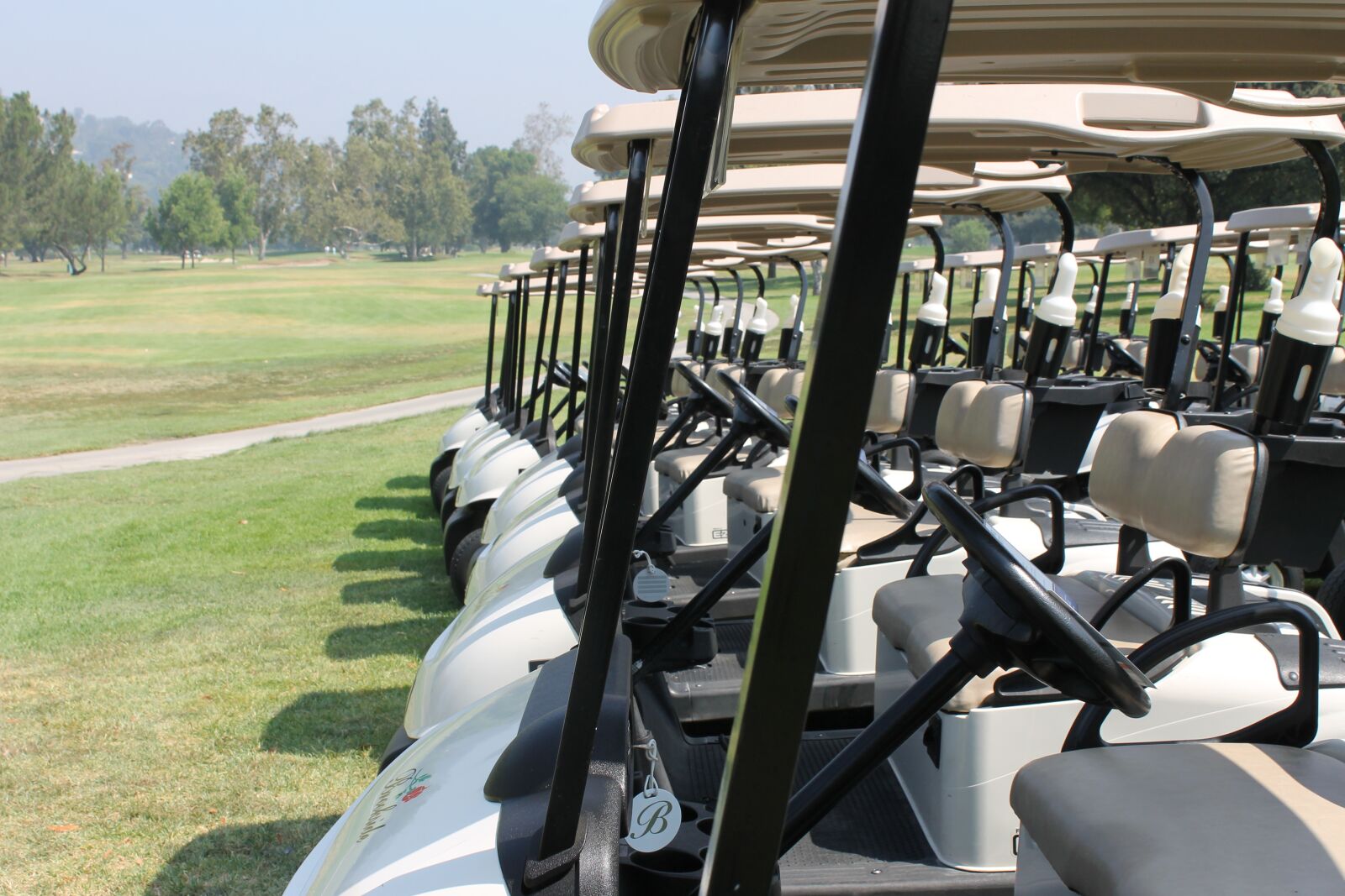 Canon EOS 1100D (EOS Rebel T3 / EOS Kiss X50) sample photo. Golf, cart, golfer photography
