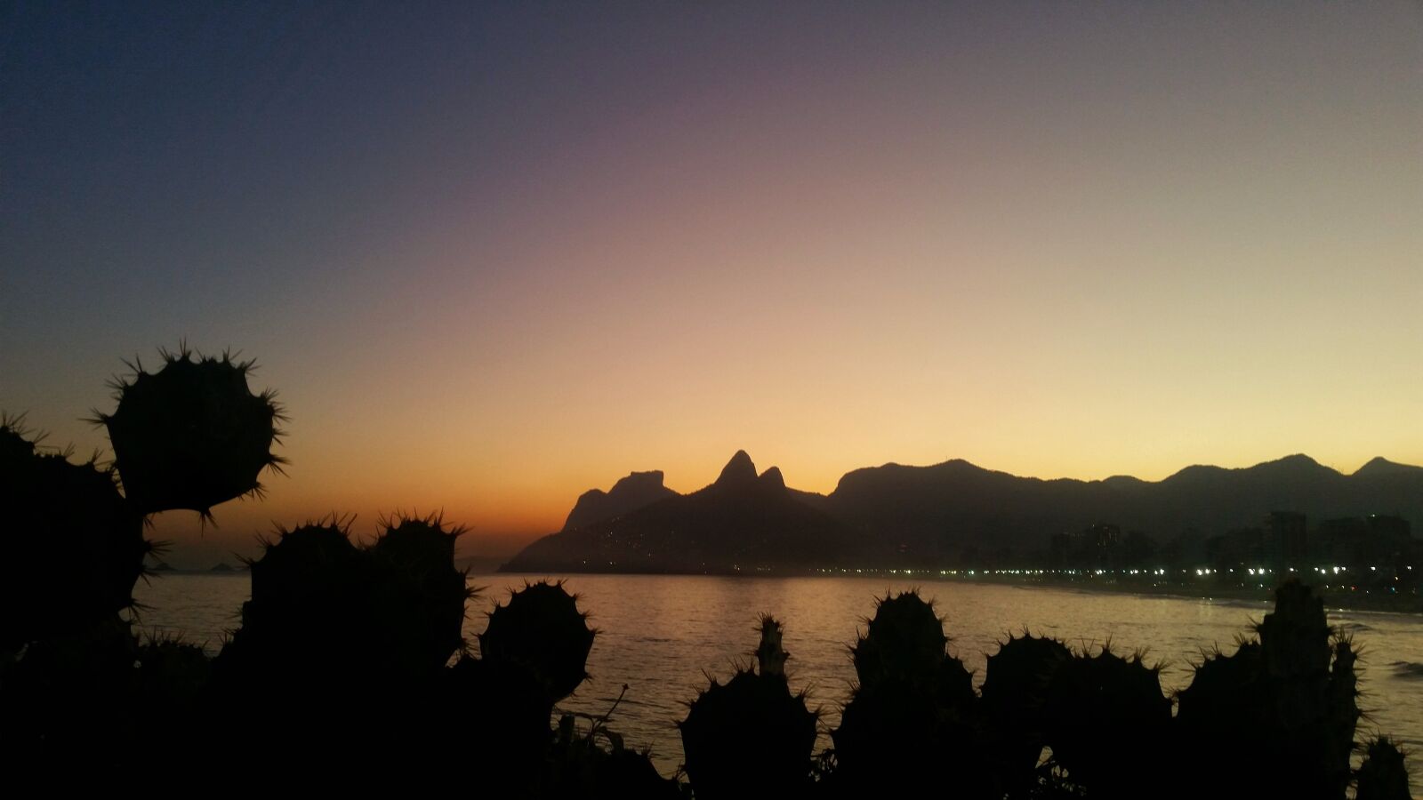 Samsung Galaxy S5 sample photo. Rio de janeiro, cacti photography