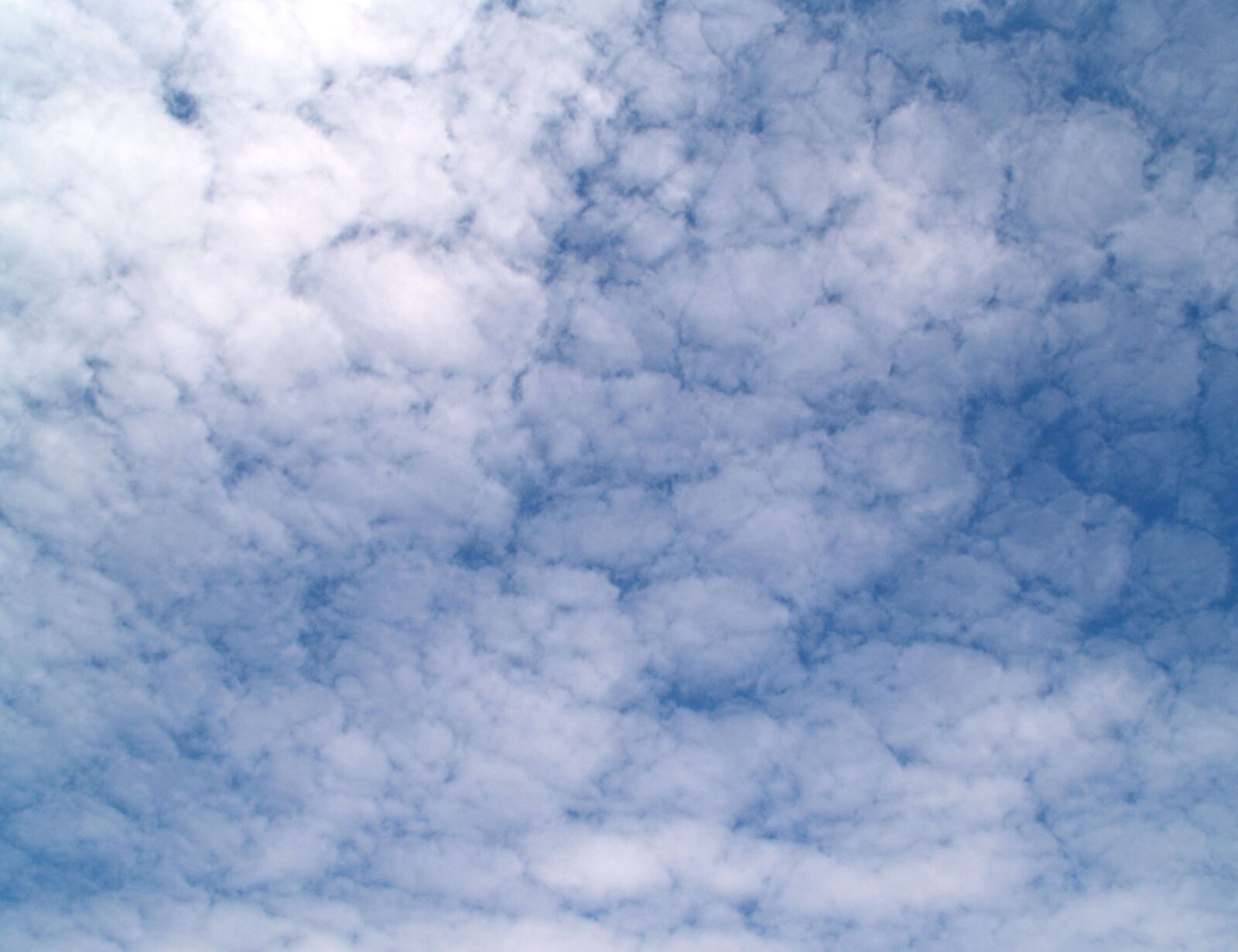 Olympus E-300 (EVOLT E-300) sample photo. Clouds, sky, blue photography