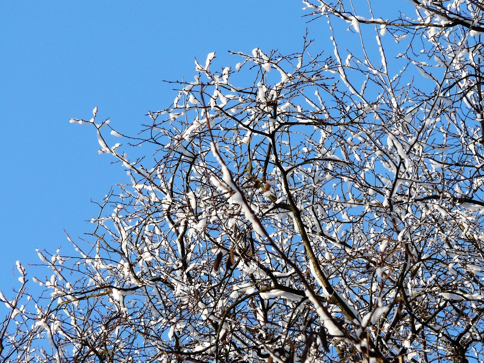 Panasonic DMC-FZ18 sample photo. Winter, snow, sky photography