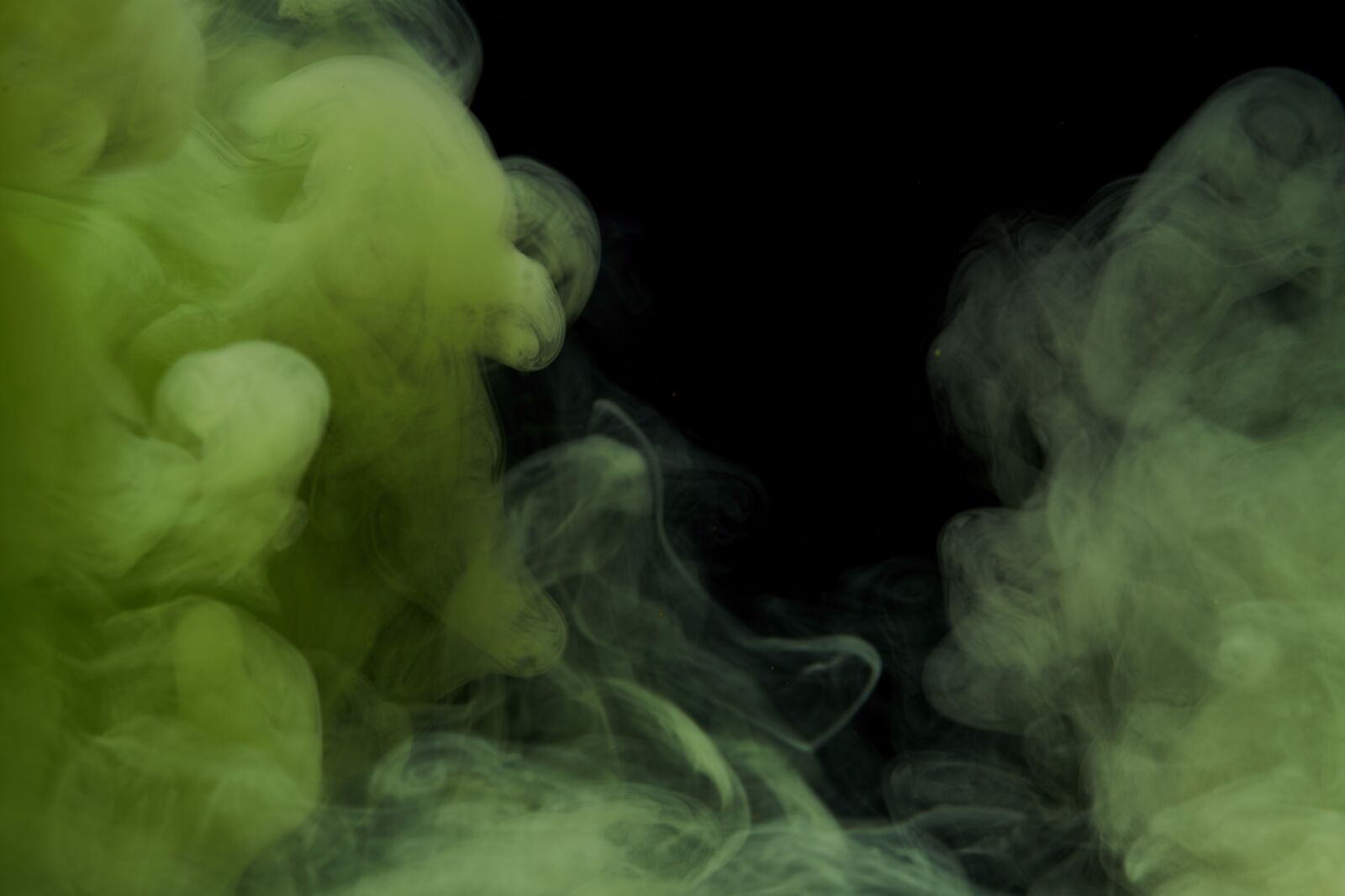 Sigma 85mm F1.4 DG HSM Art sample photo. Ink, water, green photography