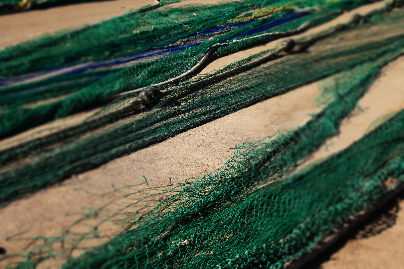 Canon EOS 750D (EOS Rebel T6i / EOS Kiss X8i) sample photo. Fishing, net photography