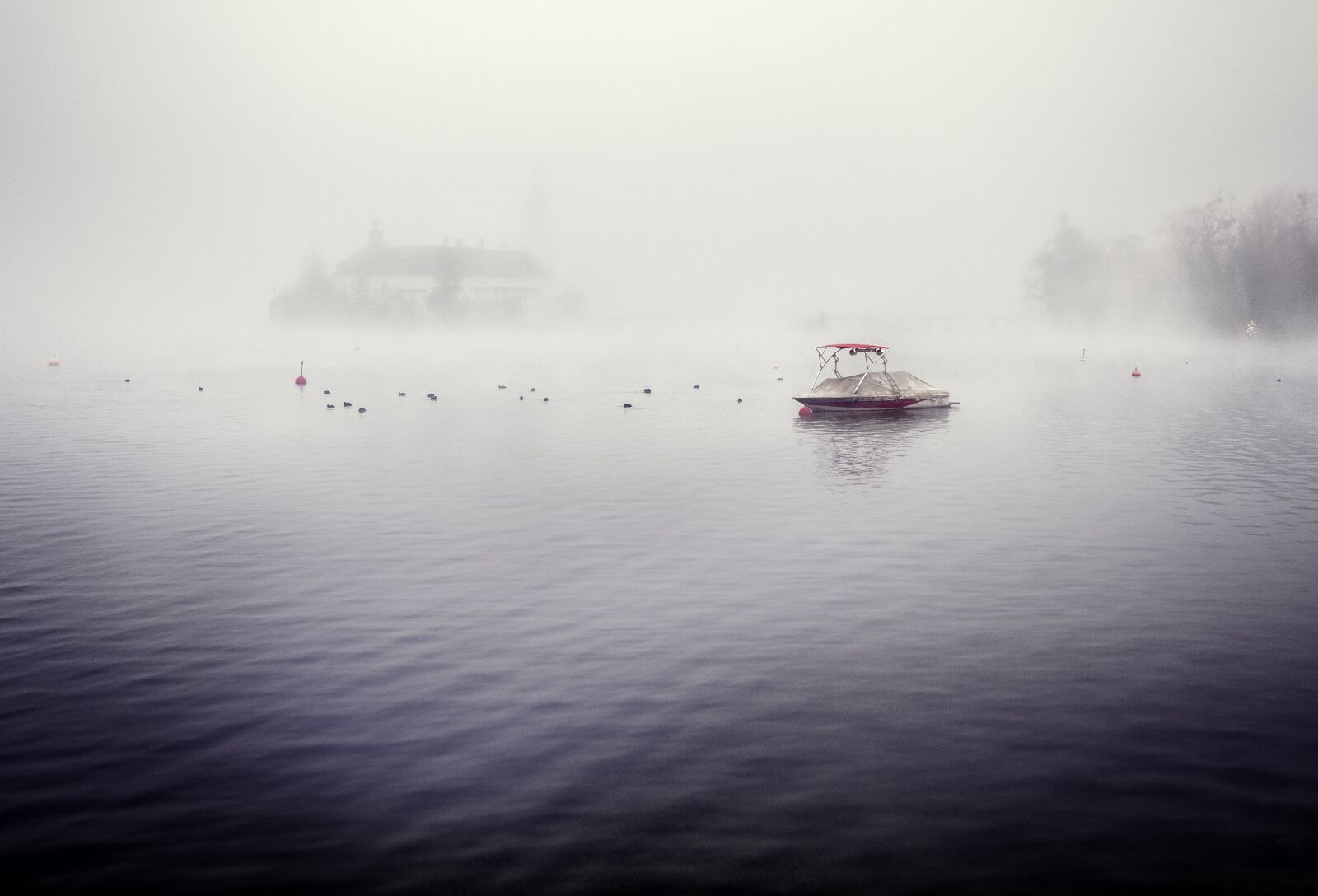 Olympus OM-D E-M1 + Olympus M.Zuiko Digital ED 12-40mm F2.8 Pro sample photo. Waters, fog, ship photography