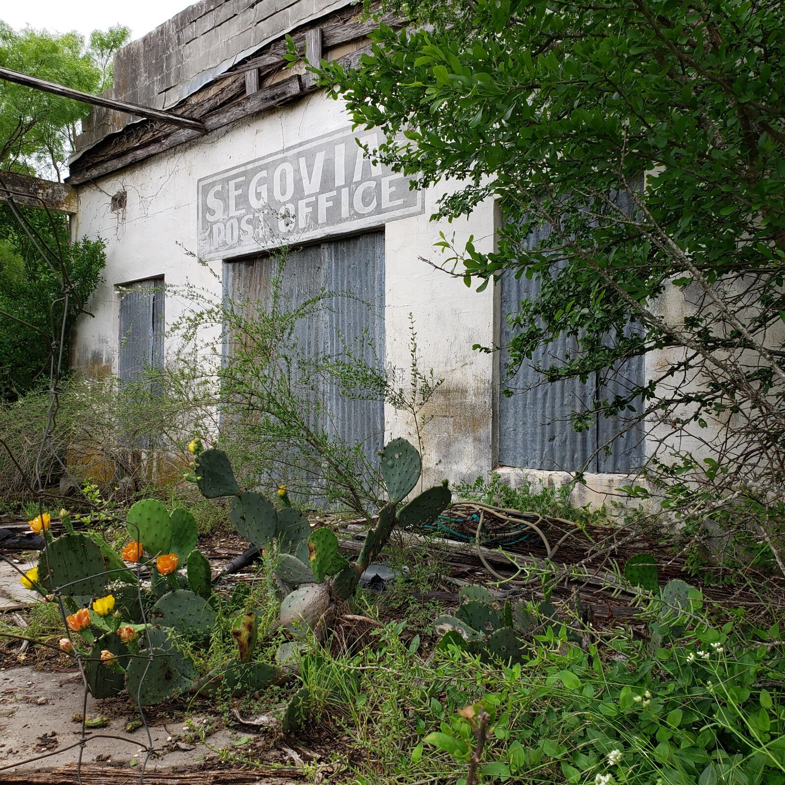 Samsung Galaxy S9 sample photo. Post office, texas, cactus photography