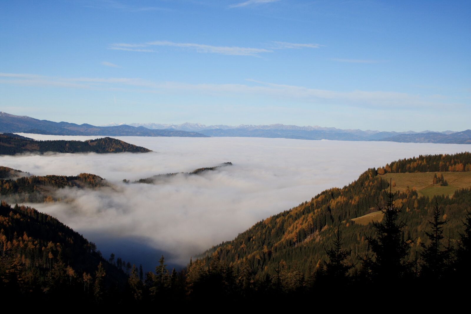 Canon EOS 1000D (EOS Digital Rebel XS / EOS Kiss F) sample photo. Gaberl, styria, fog photography
