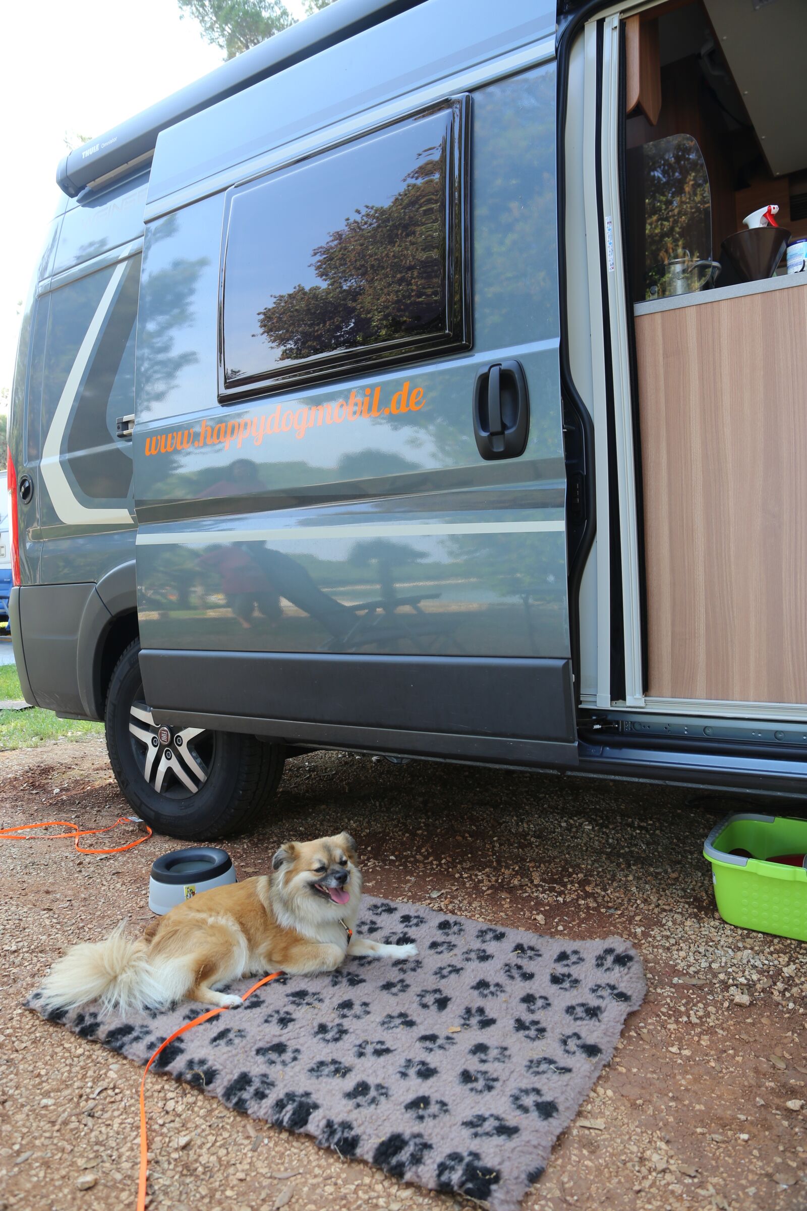 Canon EOS 6D + Canon EF 24-105mm F4L IS USM sample photo. Mobile home, dog, vacations photography