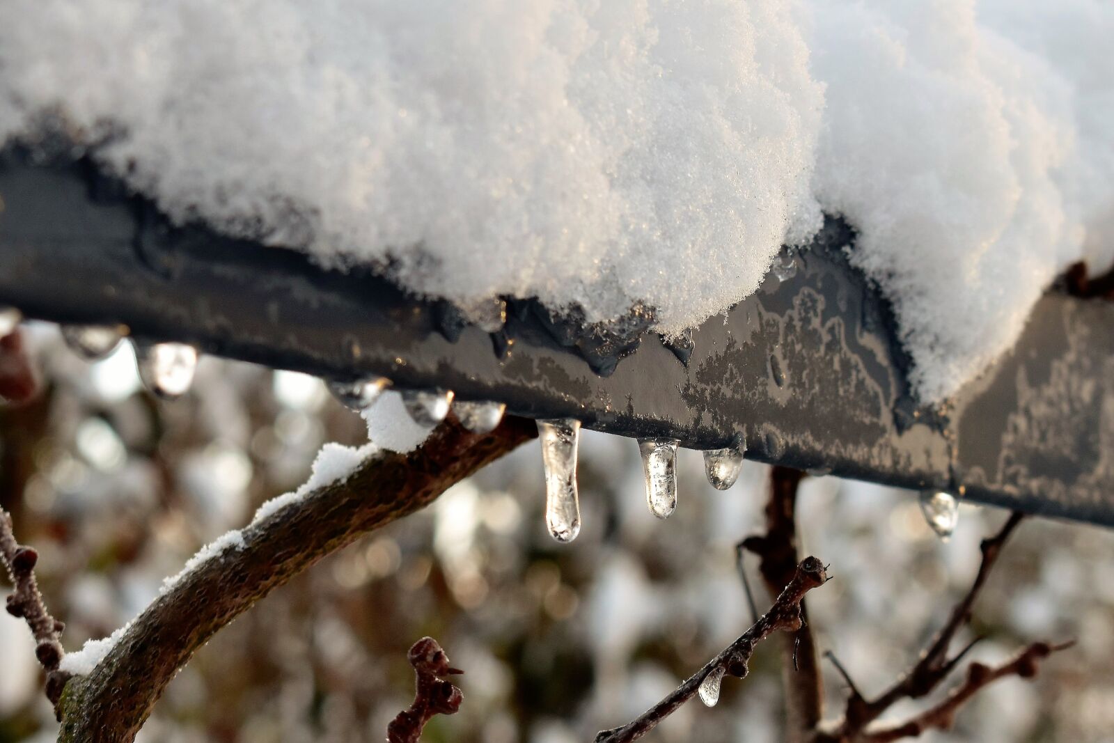 Nikon D5500 sample photo. Winter, snow, cold photography