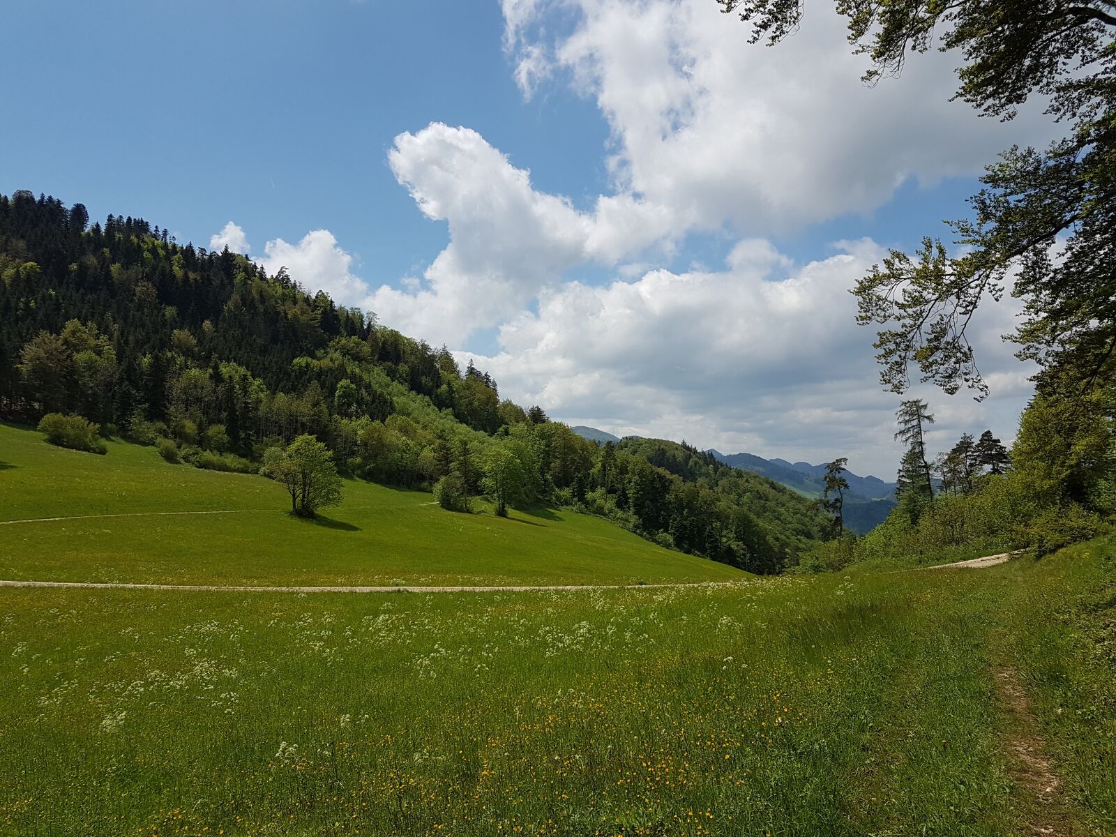 Samsung Galaxy S7 Edge sample photo. Switzerland, basel-land, eptingen photography