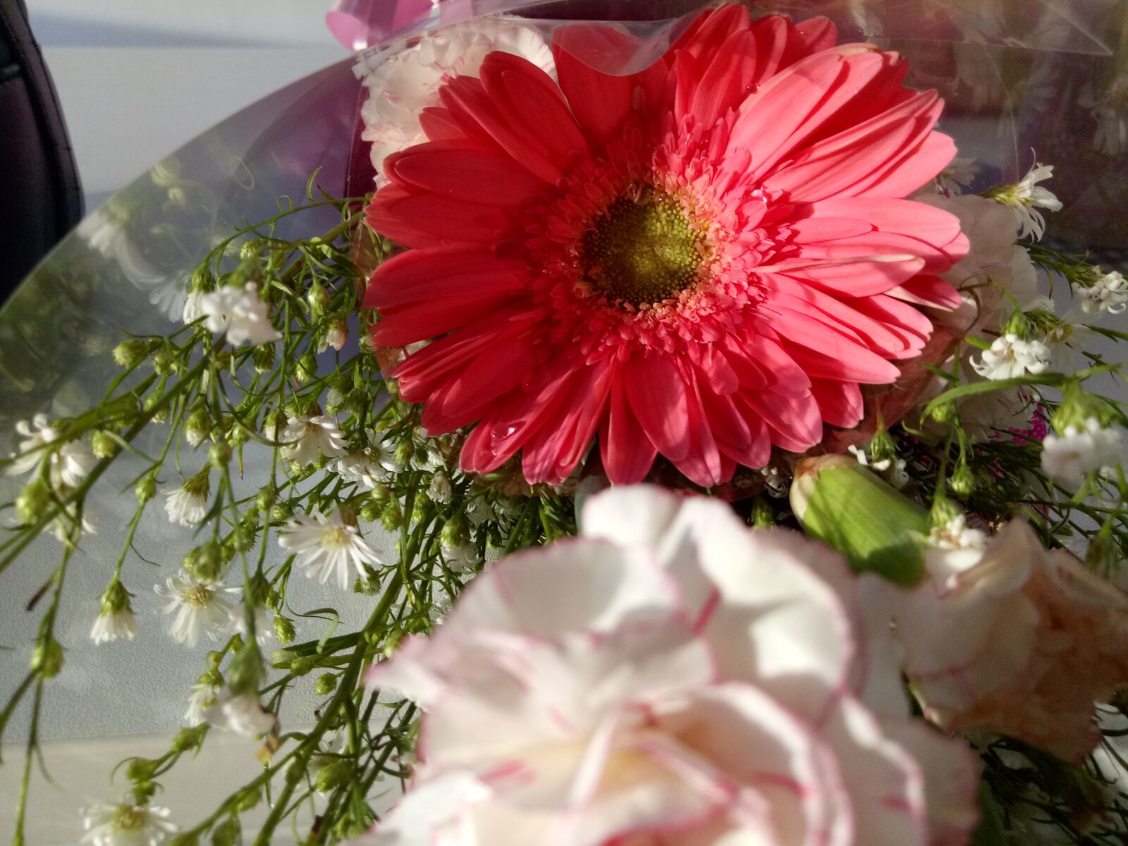 OPPO A1601 sample photo