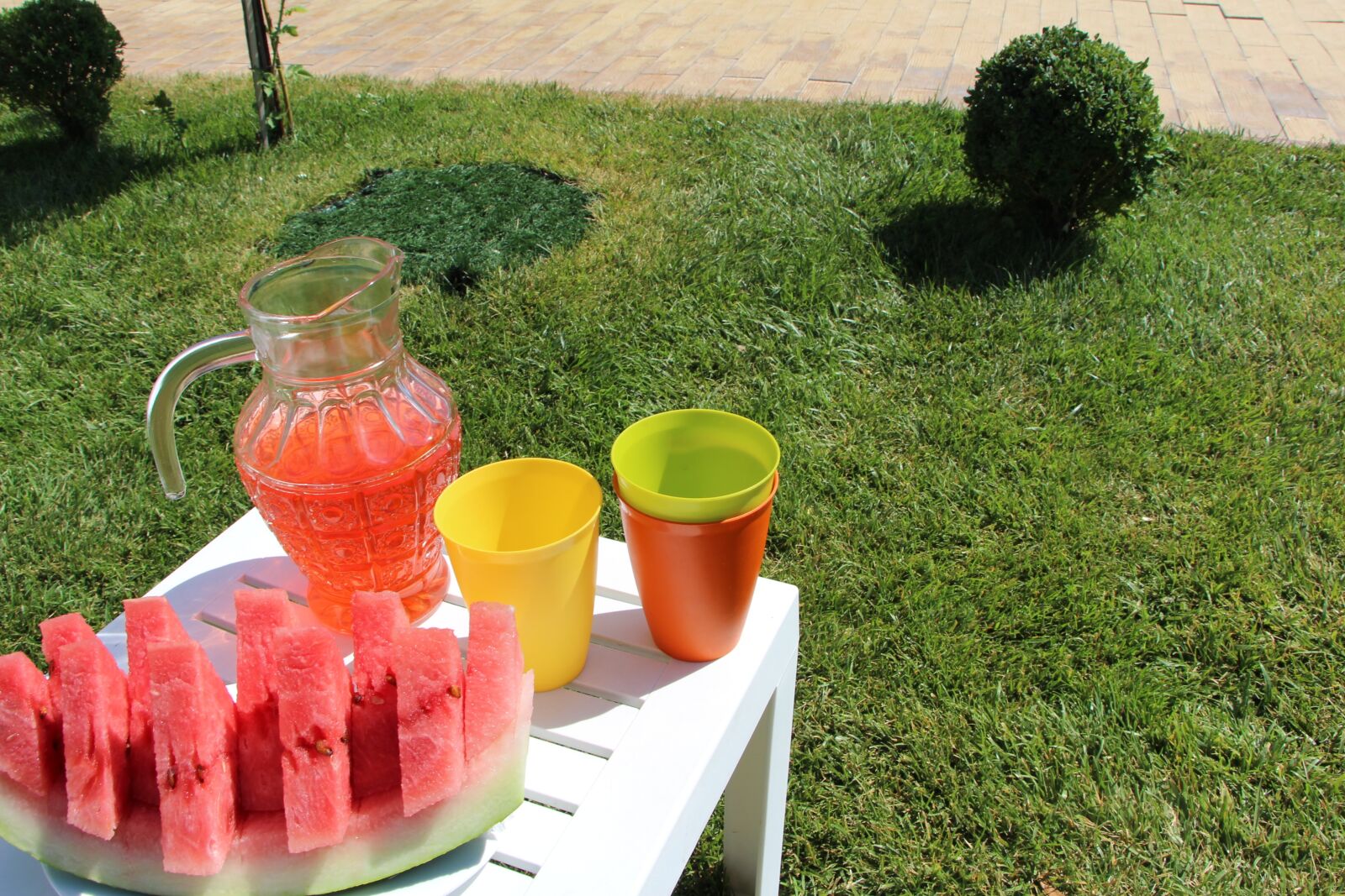 Canon EOS 700D (EOS Rebel T5i / EOS Kiss X7i) sample photo. Summer, picnic, juicy photography
