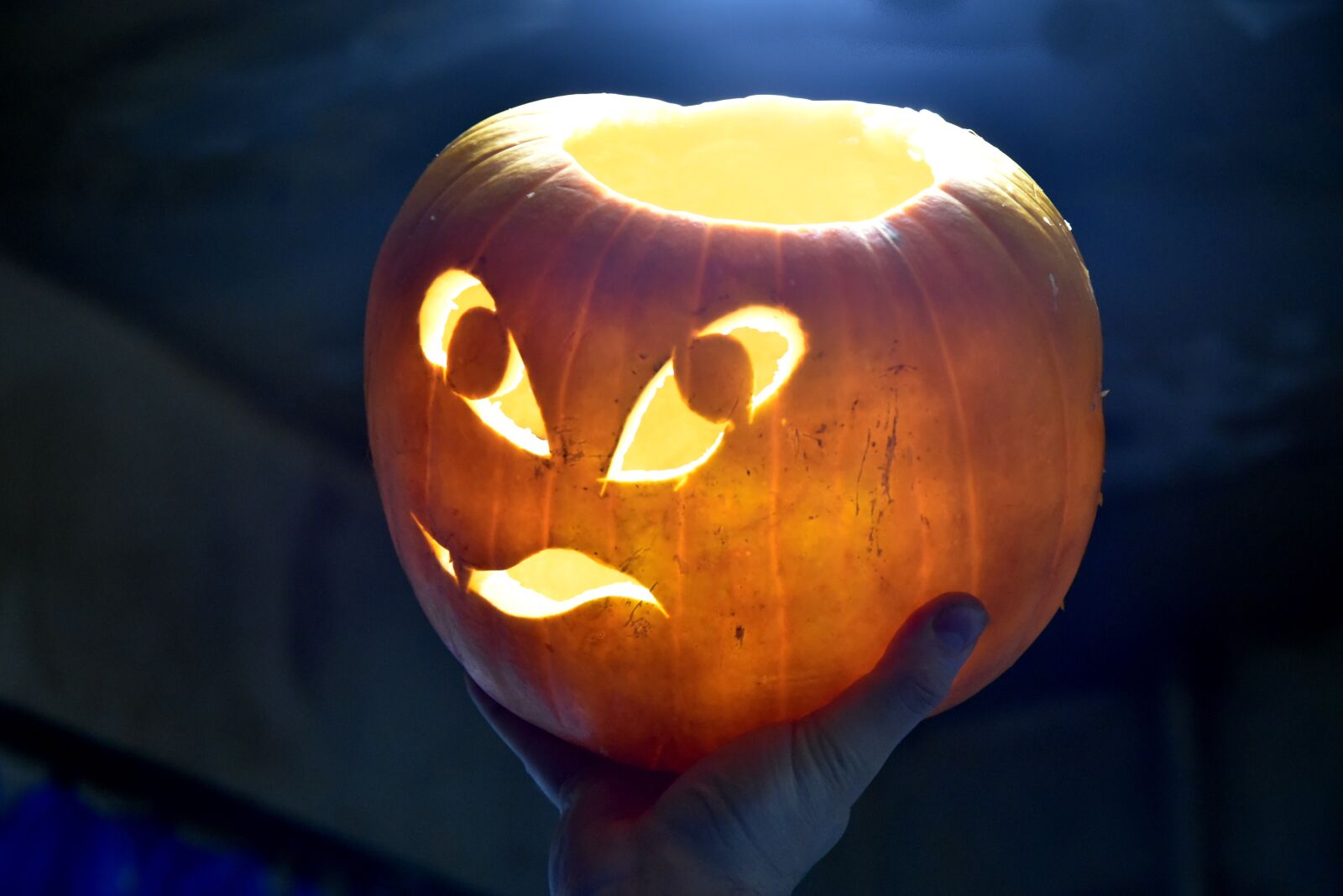 Nikon D750 sample photo. Pumpkin, autumn, halloween photography