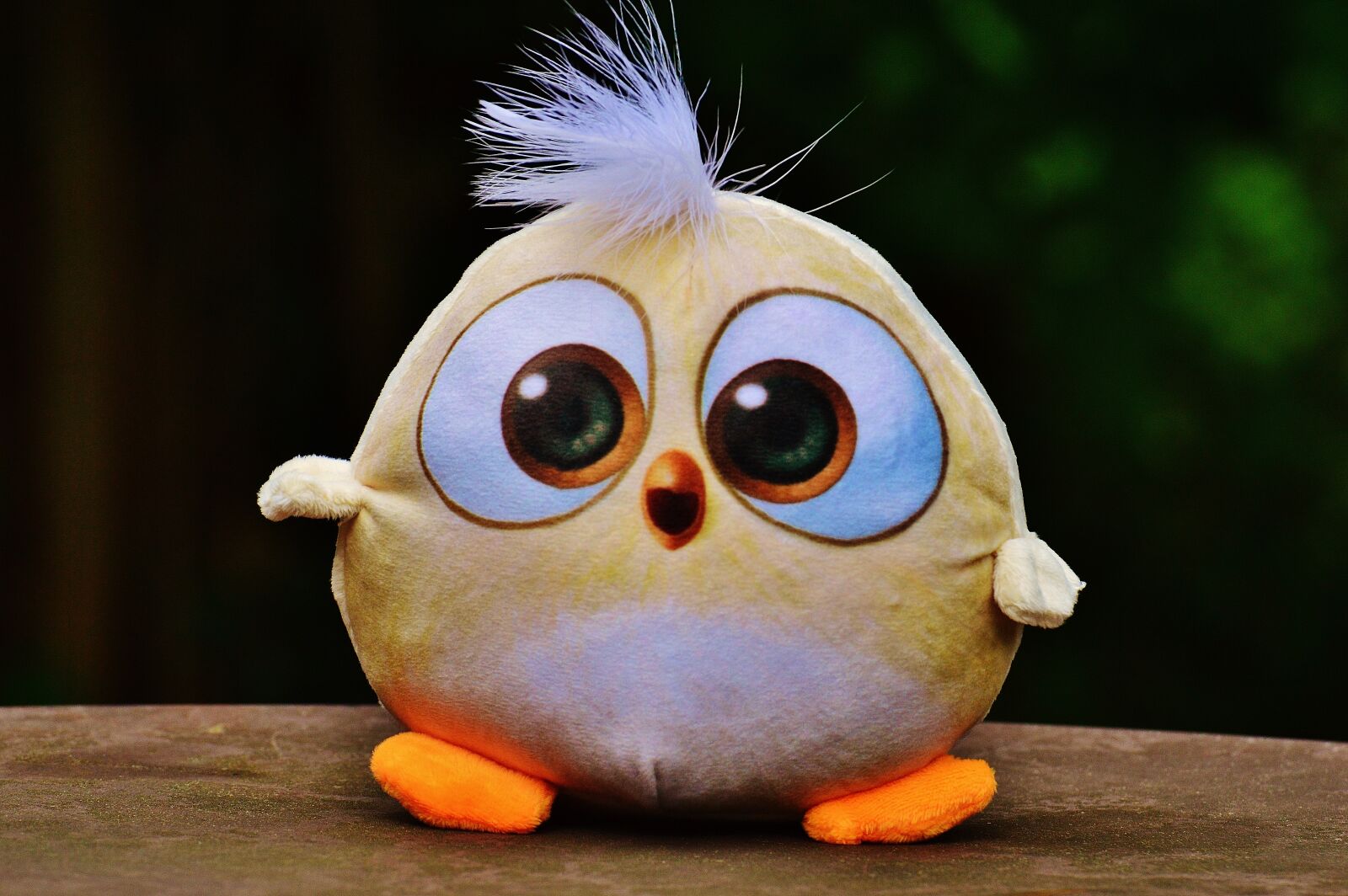 Nikon D3200 sample photo. Bird, birdie, plush photography