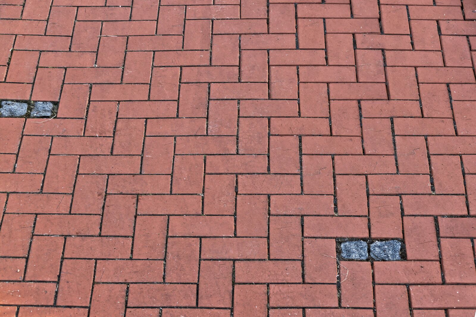 Panasonic Lumix DMC-FZ1000 sample photo. Patch, paving stone texture photography