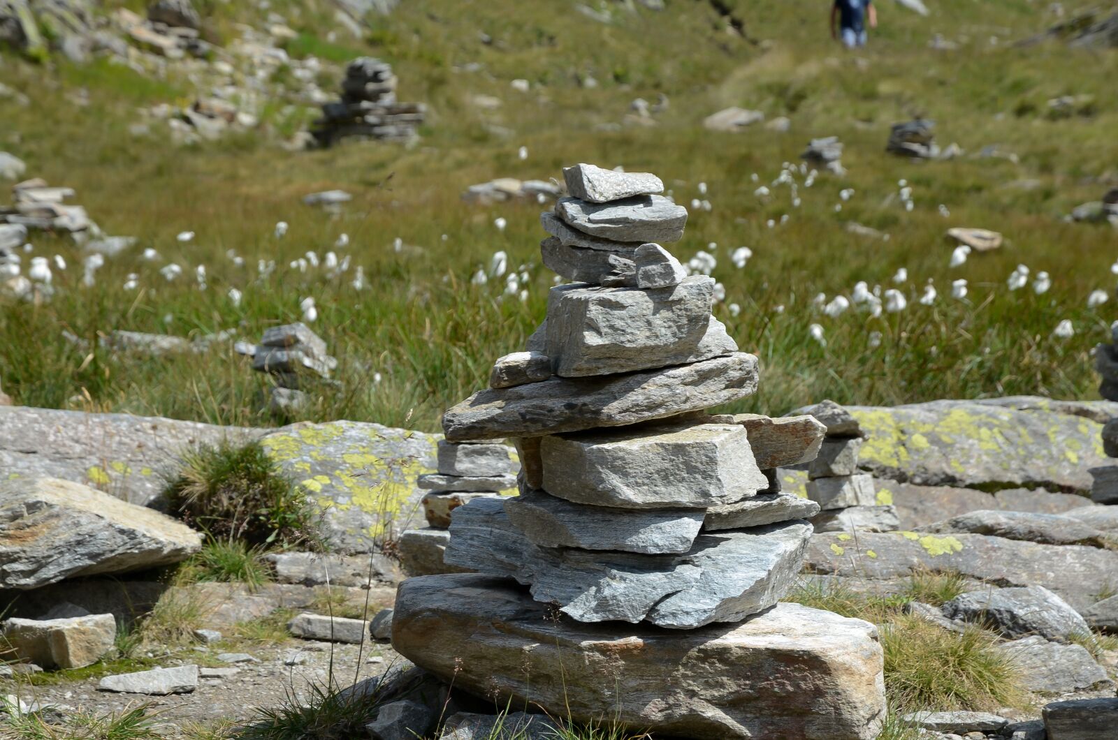 Nikon D7000 sample photo. Sassi, nature, mountain photography