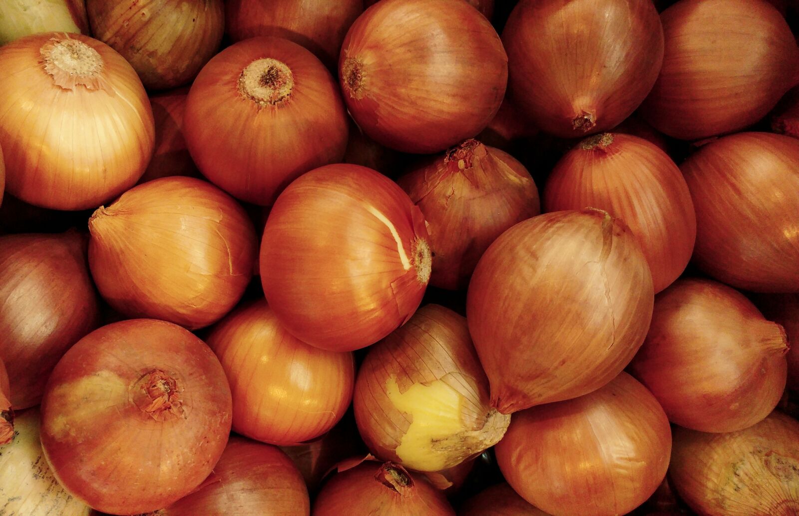 LG G5 sample photo. Onion, vegetable, natural photography