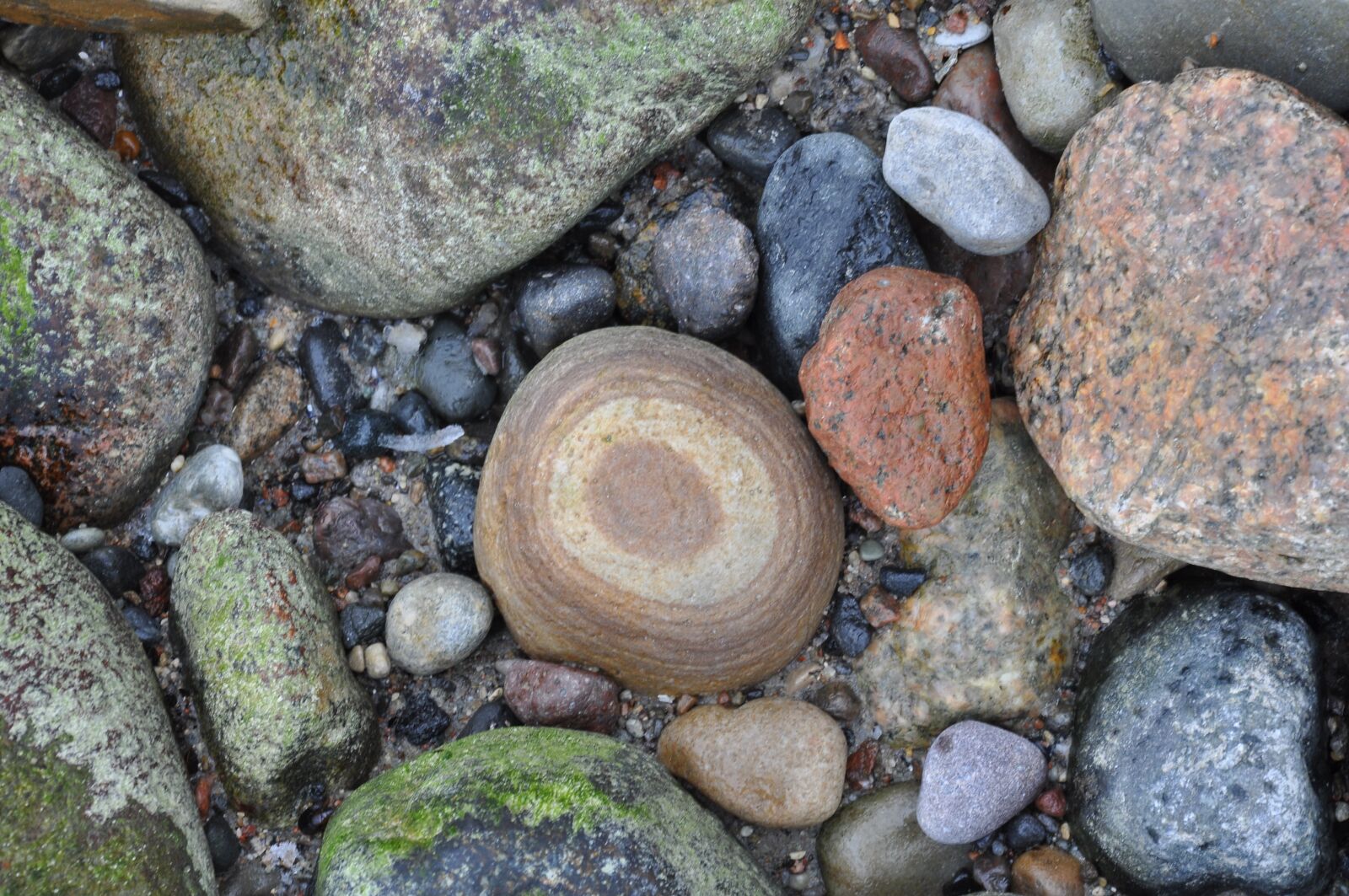 Nikon D90 sample photo. Beach, stones, baltic sea photography