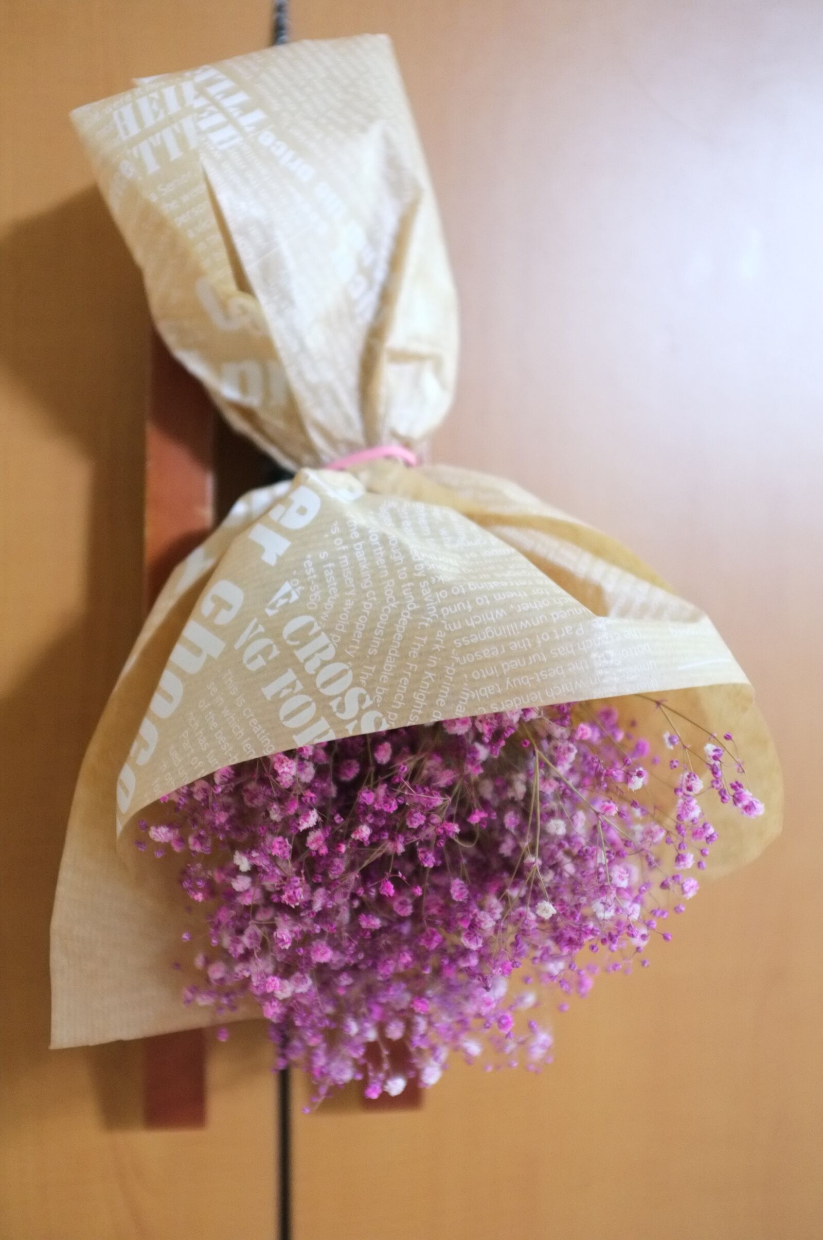 Fujifilm FinePix X100 sample photo. Gypsophila elegans, bouquet, packing photography
