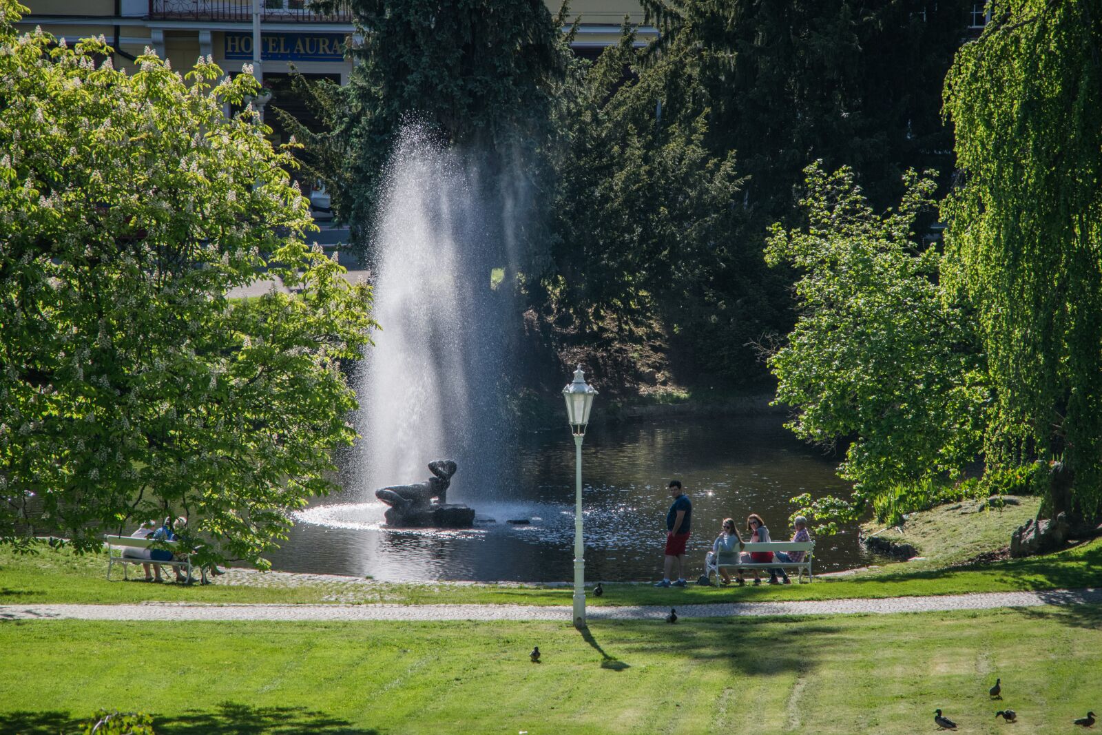 Nikon D5300 sample photo. Park, spa, green photography