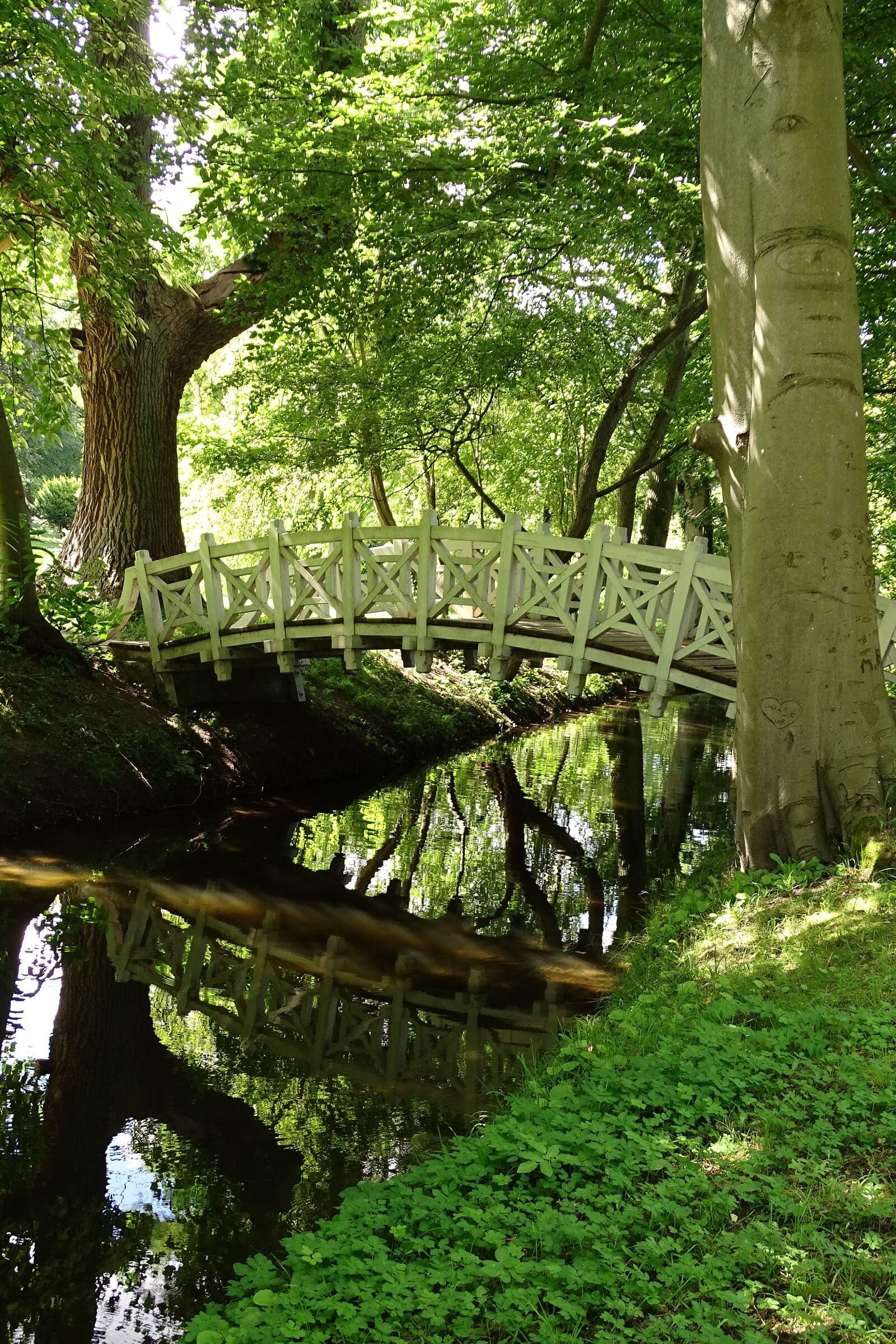 Sony Cyber-shot DSC-HX400V sample photo. Bridge, forest, nature photography