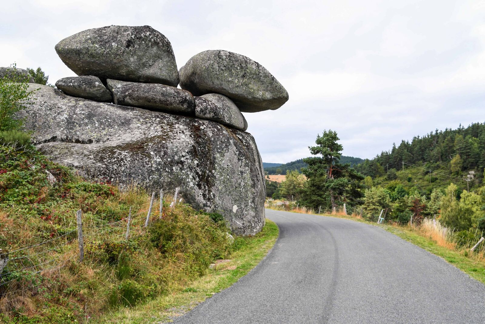 Nikon D500 sample photo. Nature, stone, grass, road photography