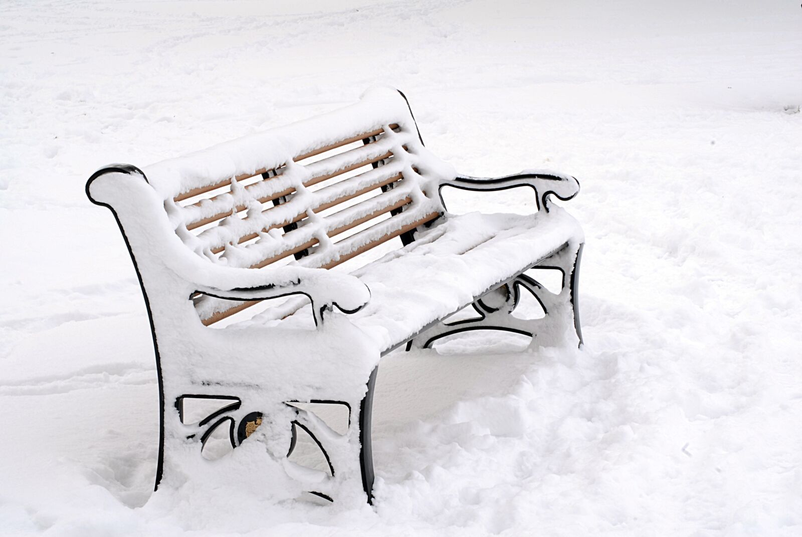 Nikon D200 sample photo. Snow, white, winter photography