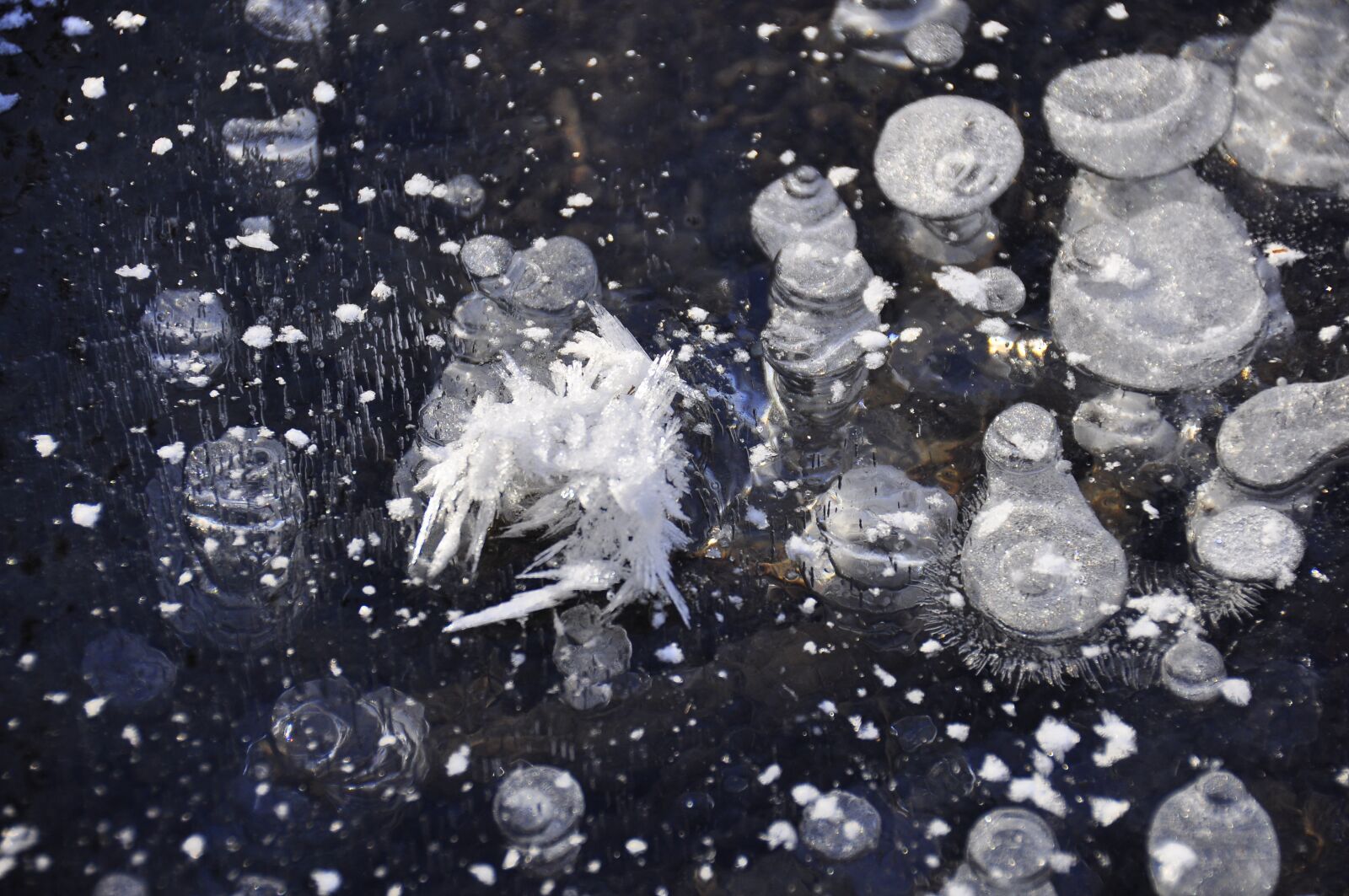 Nikon D90 sample photo. Water, frozen, ice photography