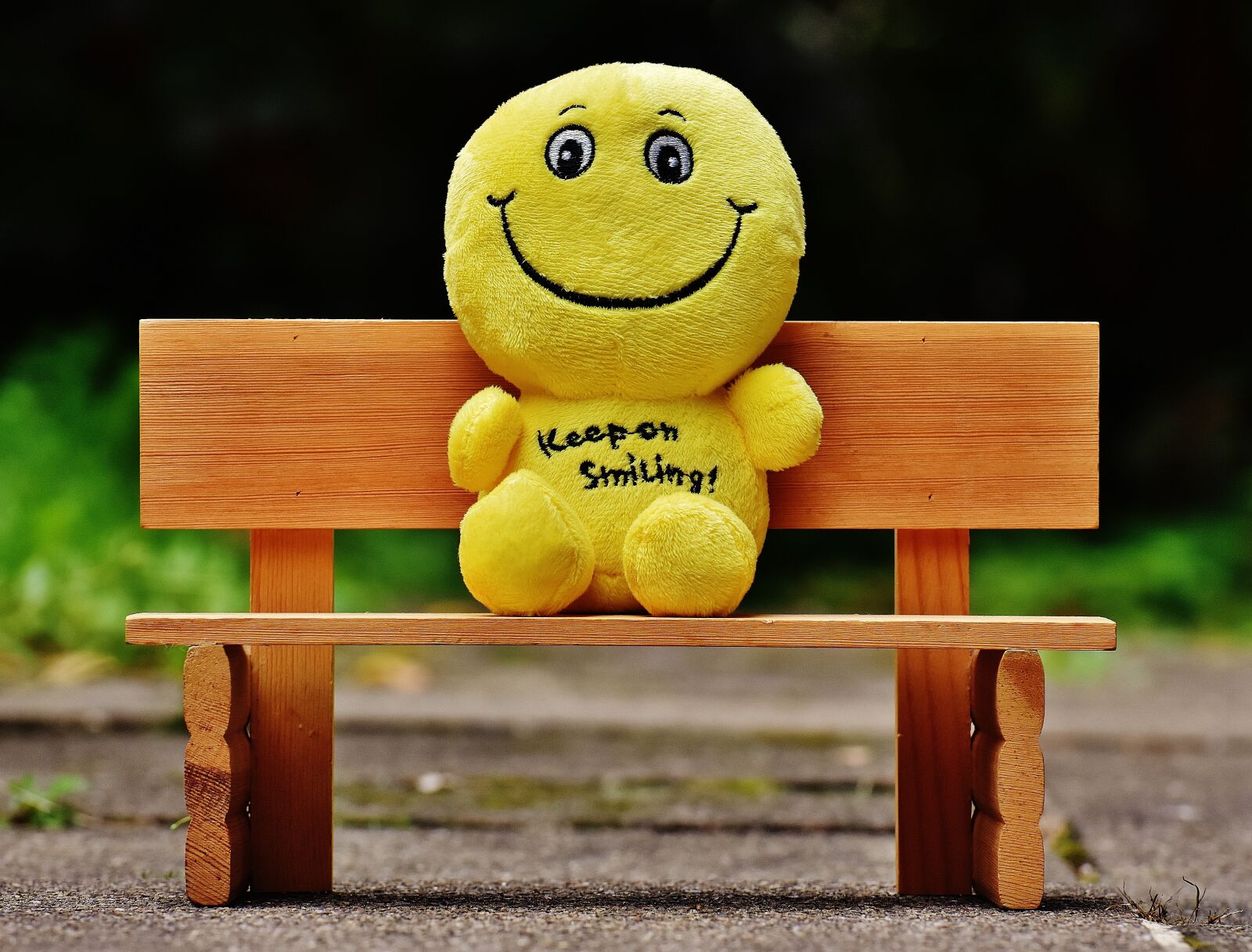 Nikon D7200 sample photo. Smilies, bank, sit photography