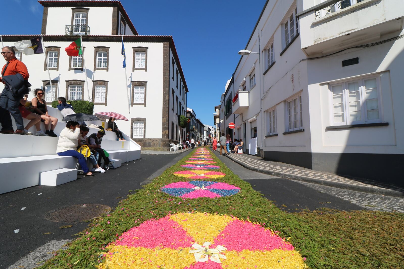 Canon EOS 750D (EOS Rebel T6i / EOS Kiss X8i) sample photo. Festival, azores, flowers photography