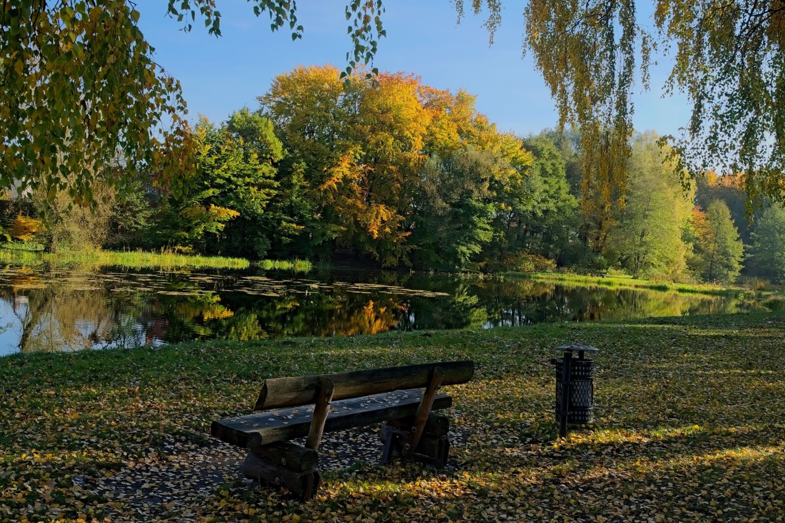 Nikon D3300 sample photo. Autumn, bench, park photography