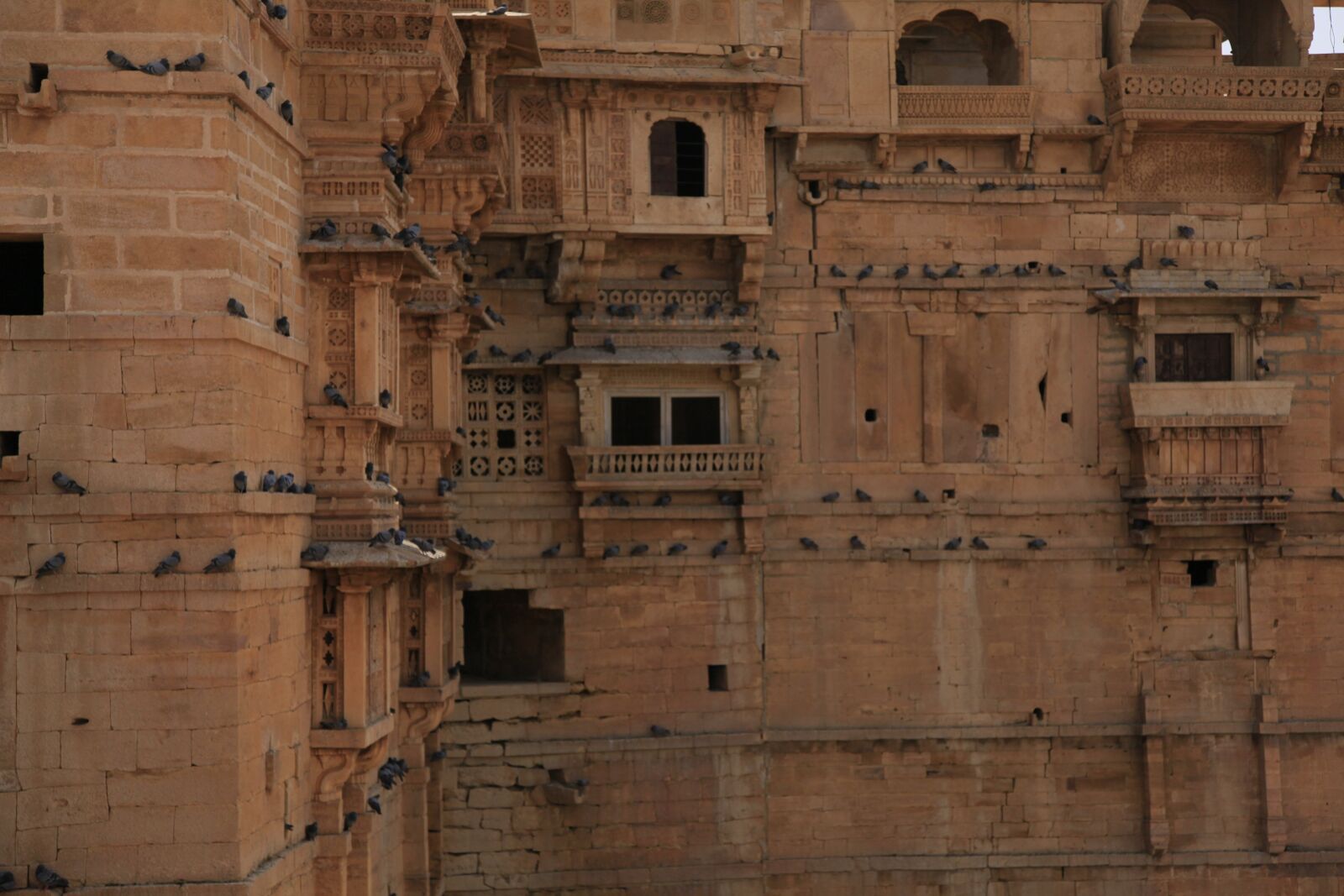 Canon EOS 5D Mark II sample photo. Fort, india, rajasthan photography