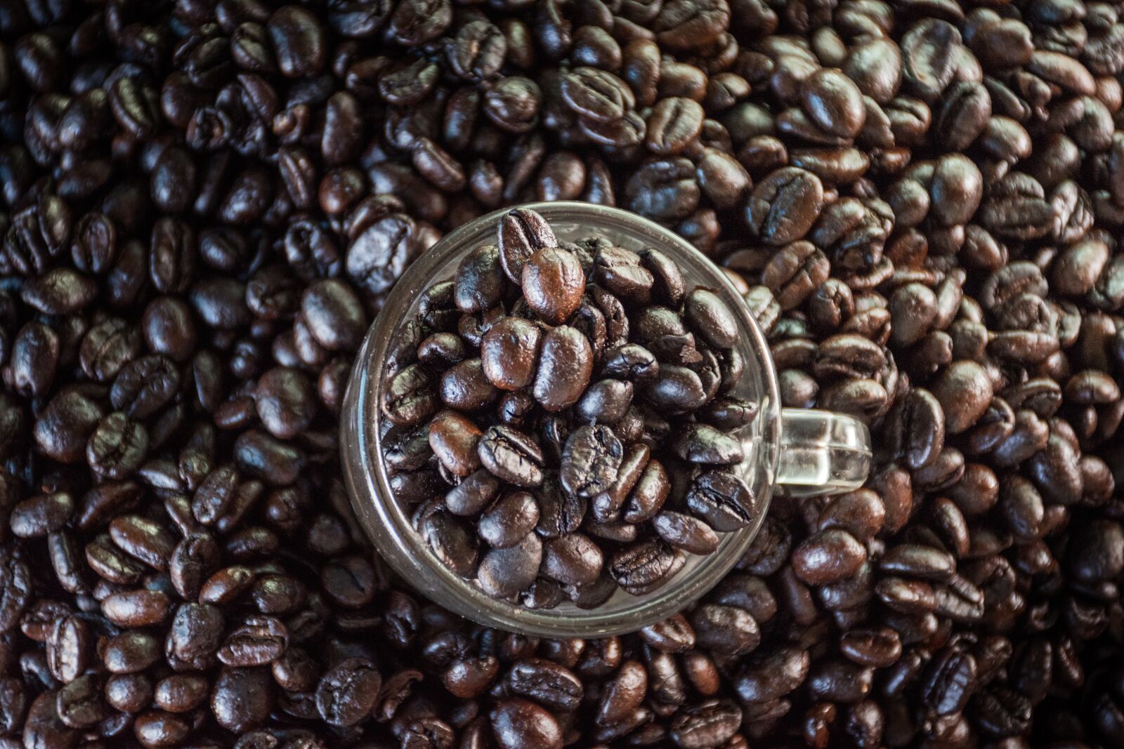 Nikon D5500 sample photo. Coffee, coffee bean, the photography