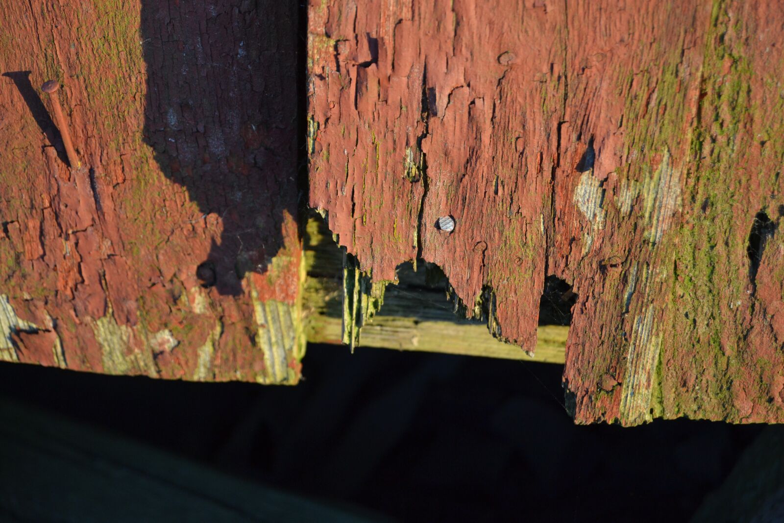 Nikon D3100 sample photo. Old farm, wood, wall photography