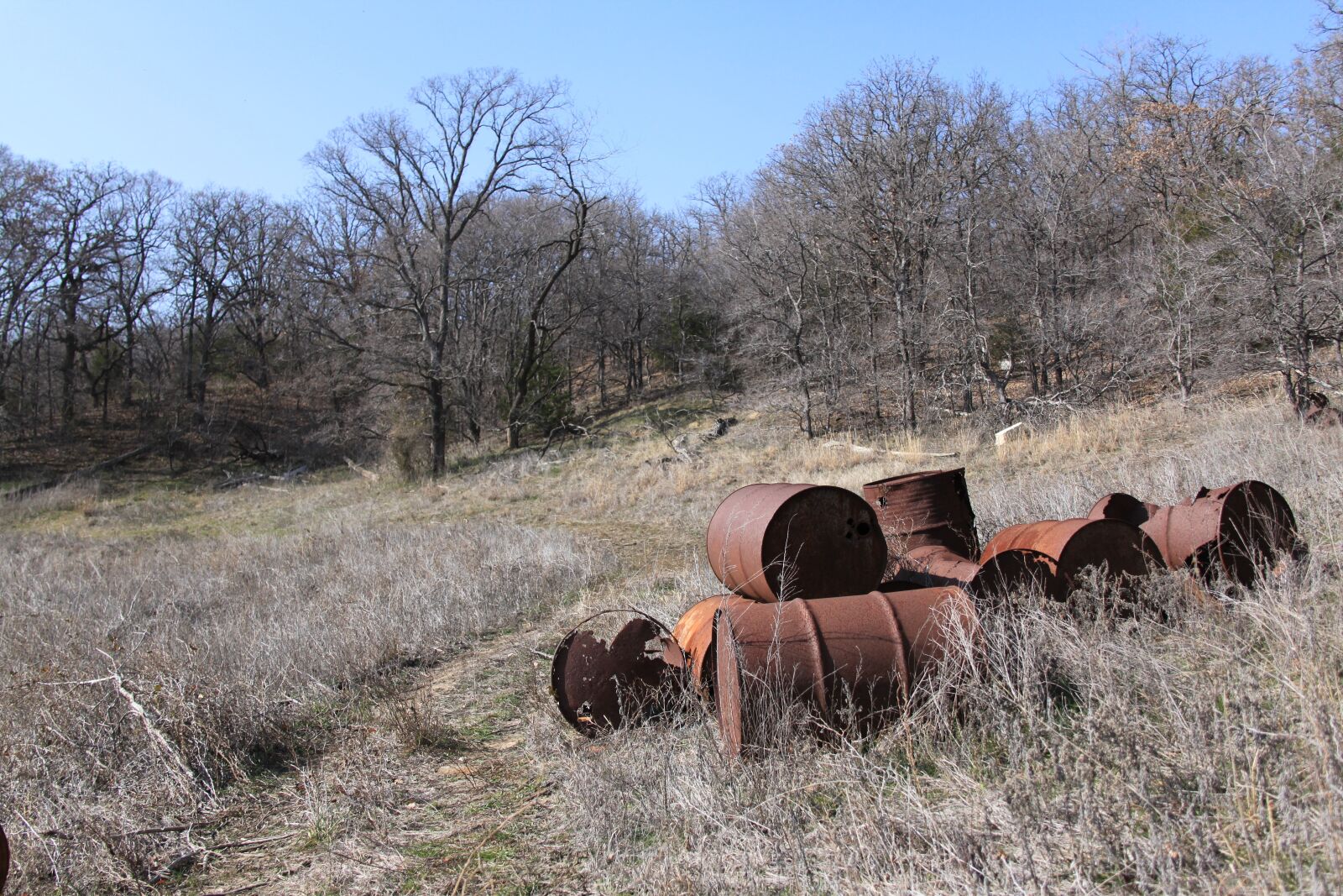 Canon EOS 500D (EOS Rebel T1i / EOS Kiss X3) sample photo. Park, sunny, barrels photography