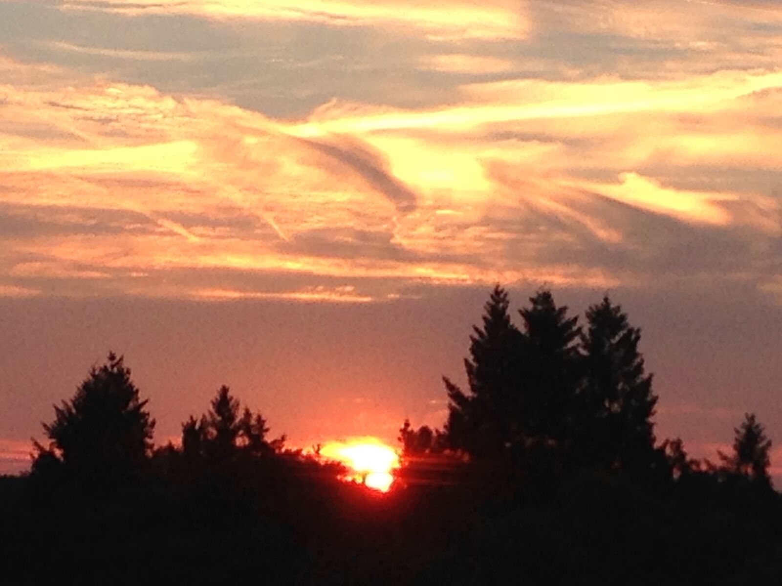 Apple iPhone 5 sample photo. Sunset, sky, trees photography