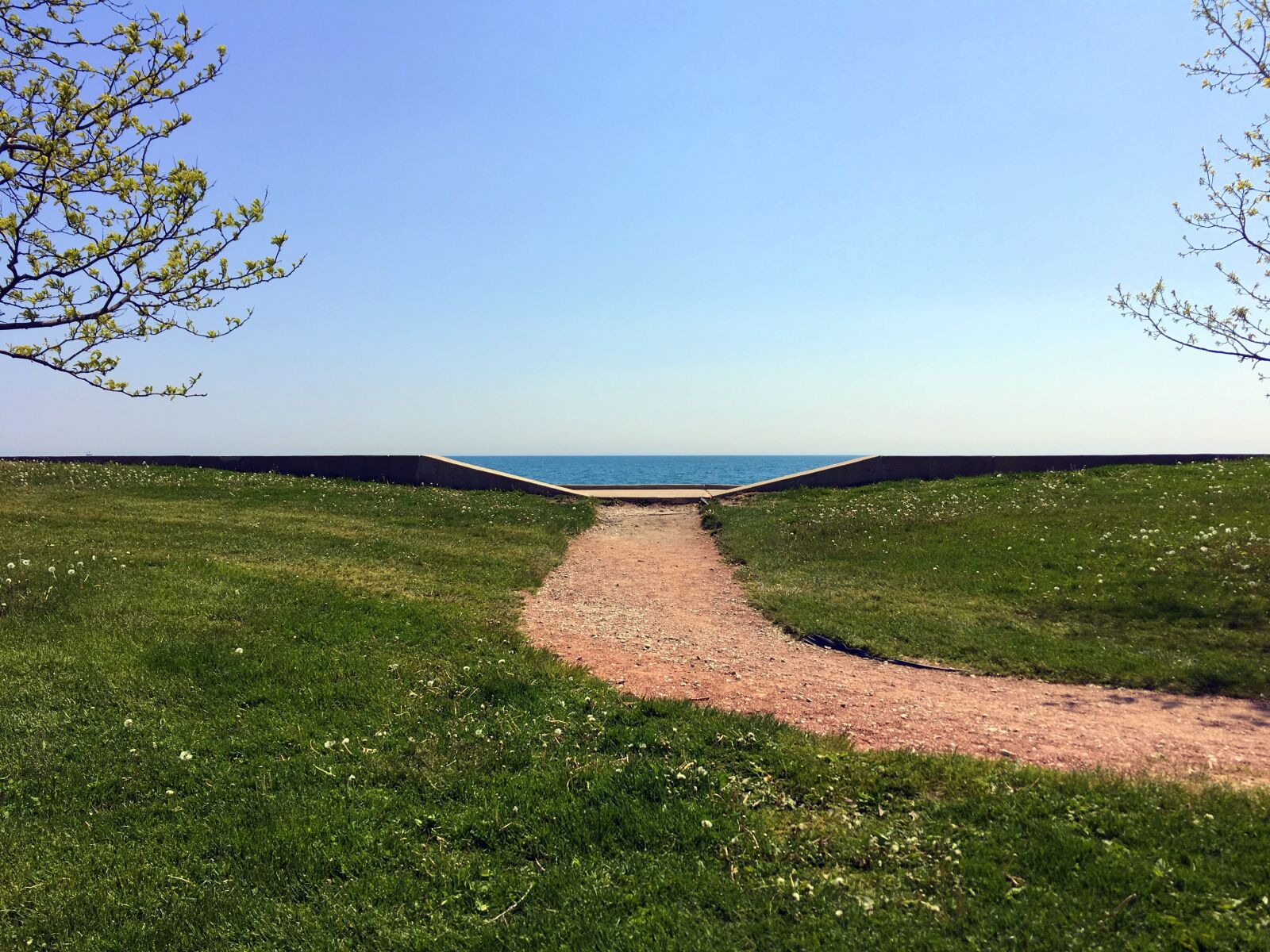 Apple iPhone 6s sample photo. Path, green, park photography